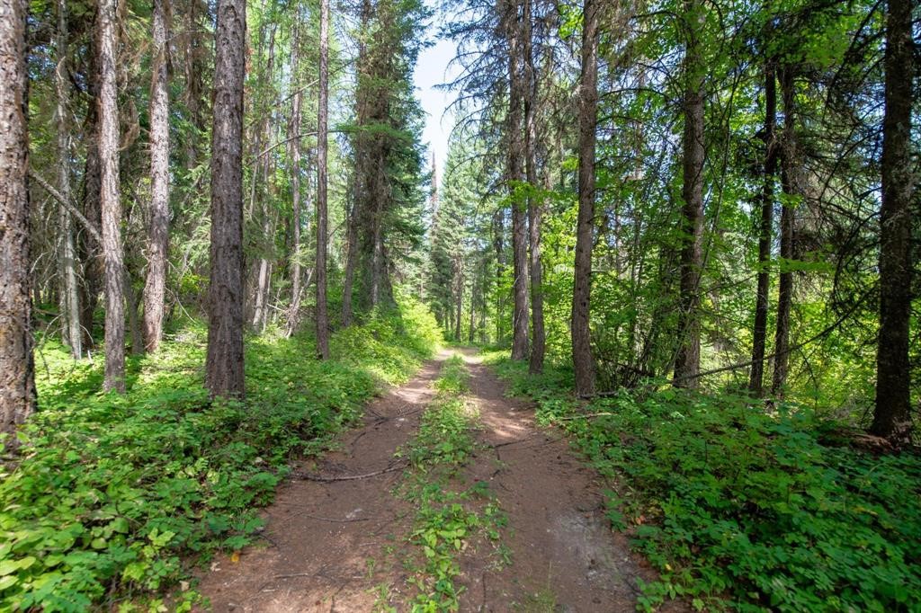 Nhn North Beaver Creek Property Photo 6