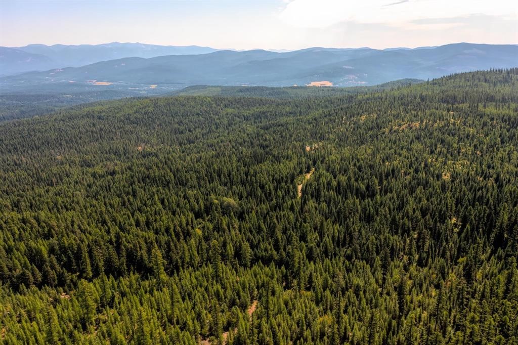 Nhn North Beaver Creek Property Photo 7