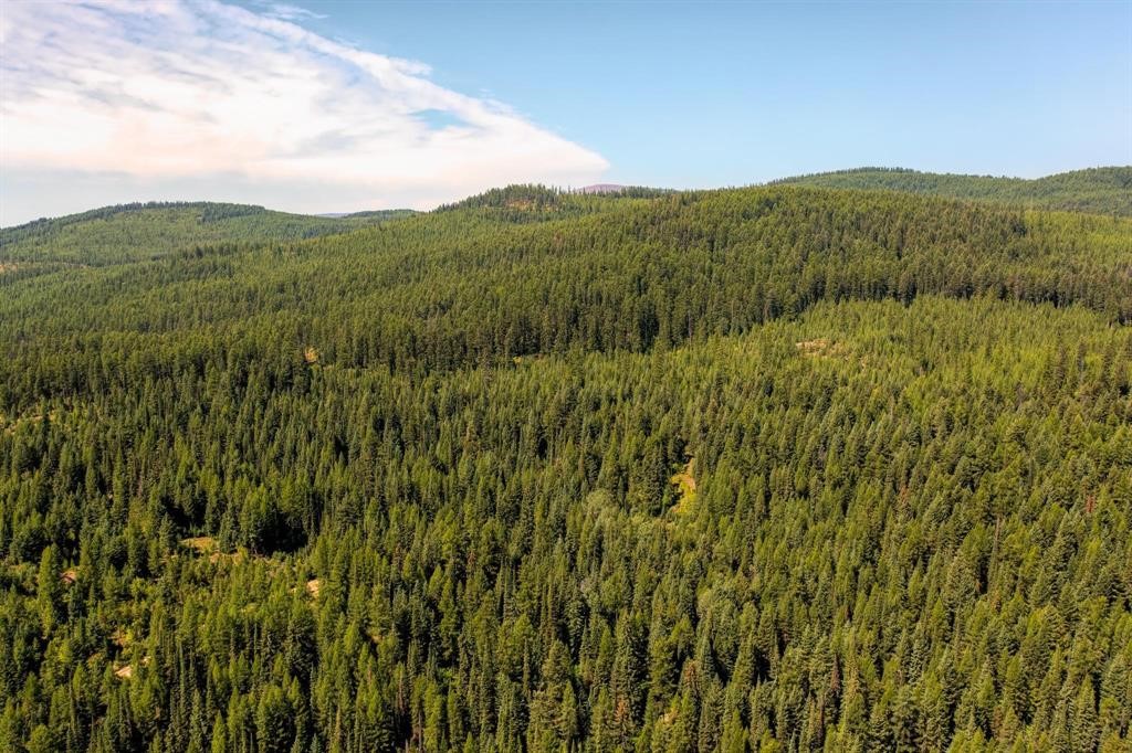 Nhn North Beaver Creek Property Photo 8