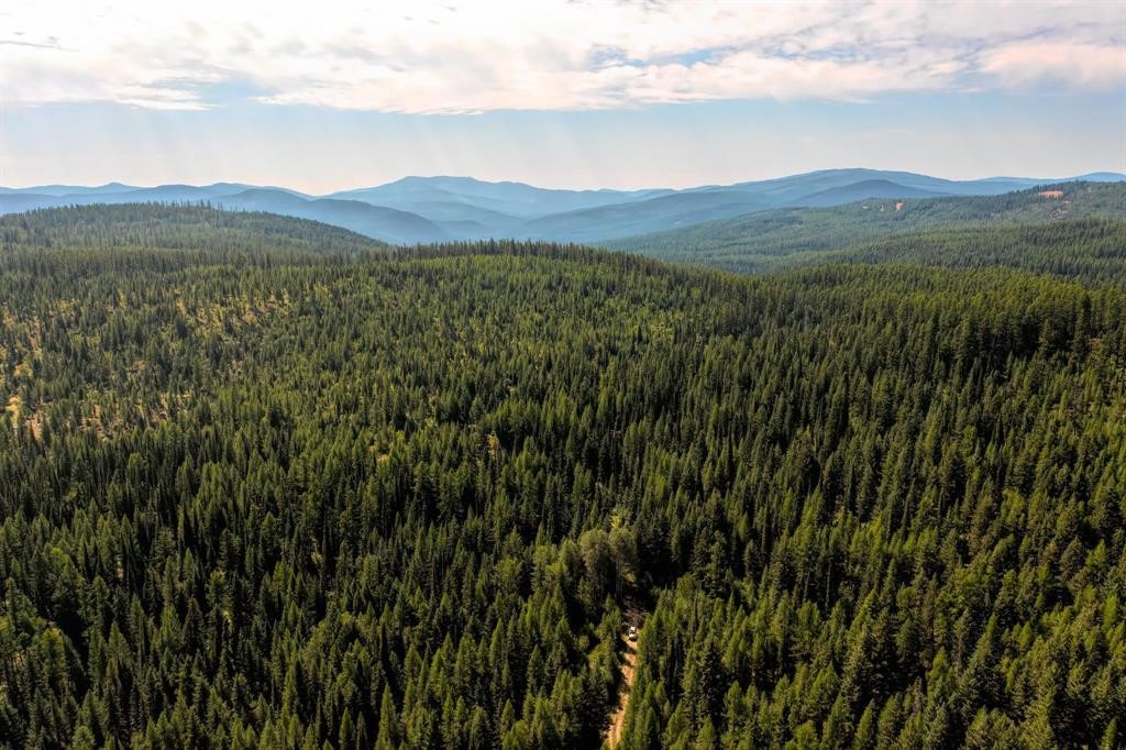Nhn North Beaver Creek Property Photo 9