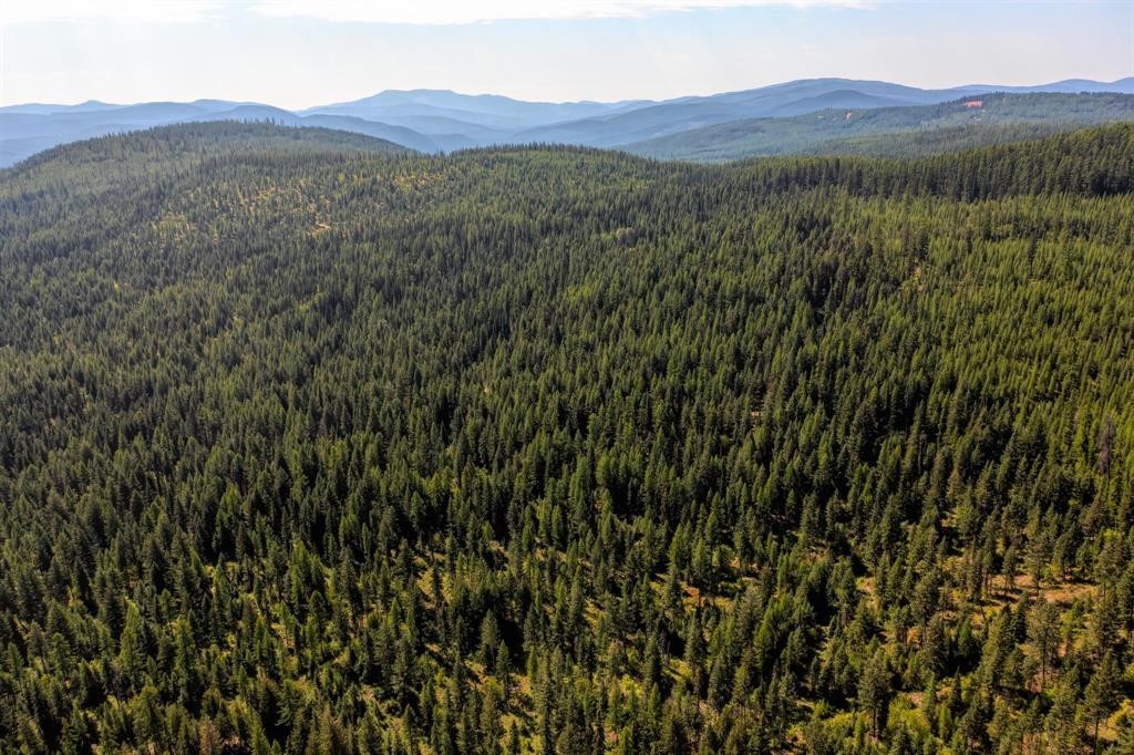 Nhn North Beaver Creek Property Photo 10