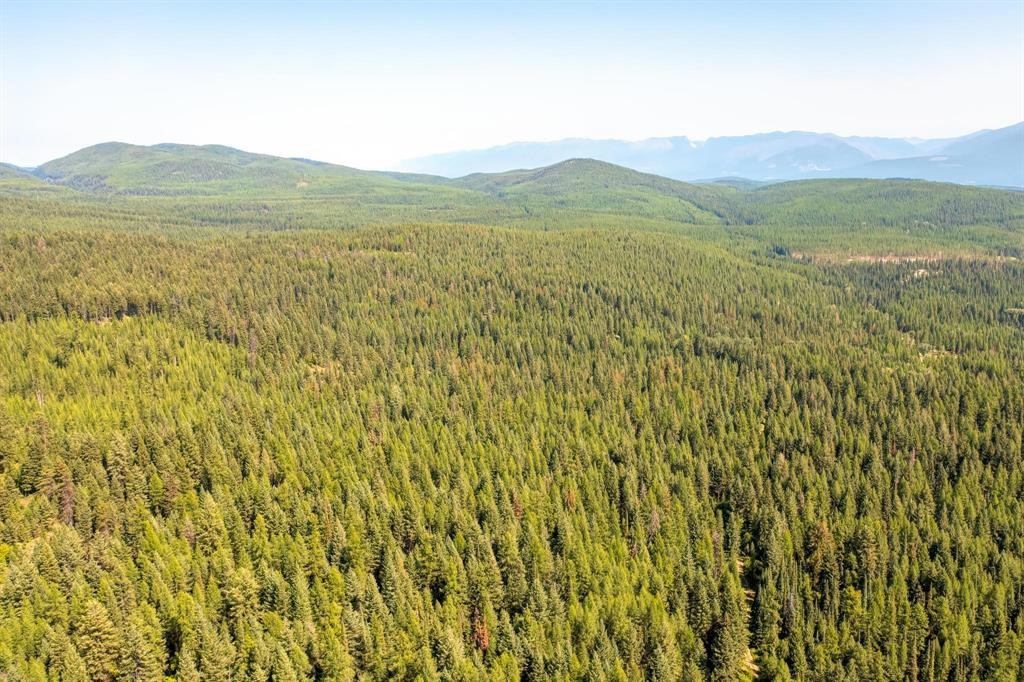 Nhn North Beaver Creek Property Photo 12