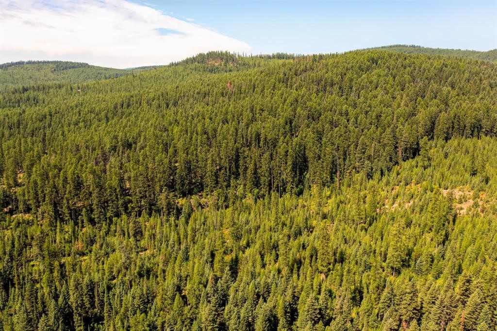 Nhn North Beaver Creek Property Photo 13