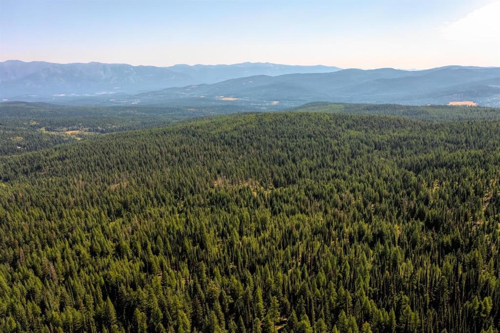 Nhn North Beaver Creek Property Photo 14