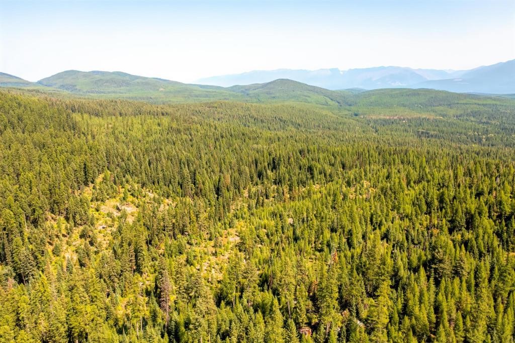 Nhn North Beaver Creek Property Photo 15