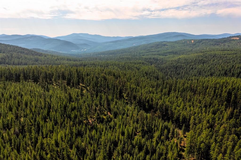 Nhn North Beaver Creek Property Photo 16