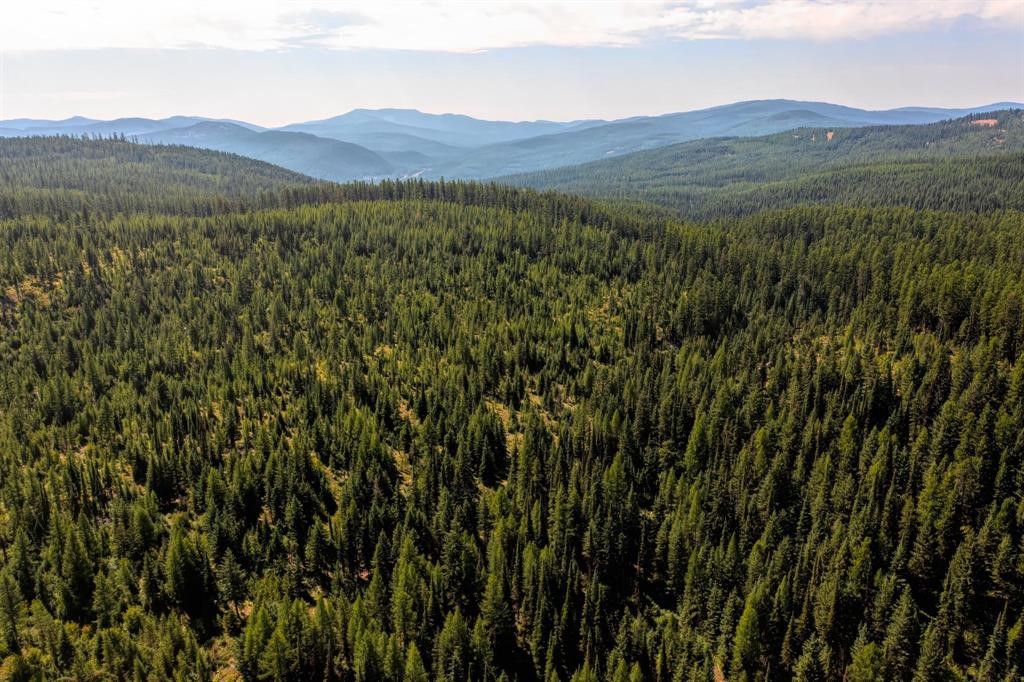 Nhn North Beaver Creek Property Photo 17
