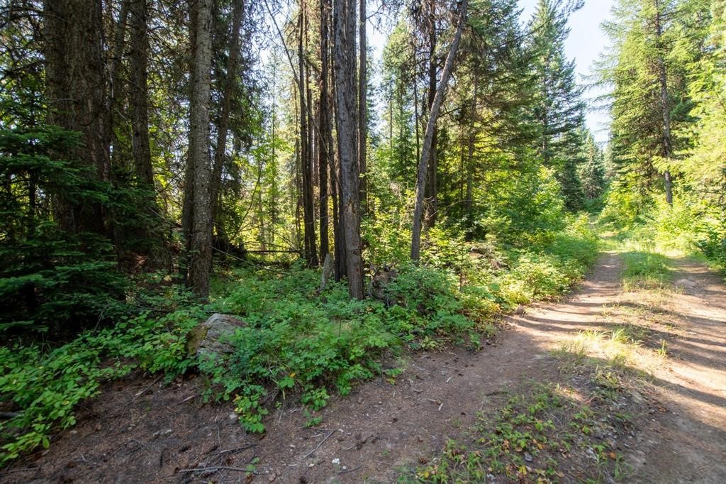 Nhn North Beaver Creek Property Photo 20