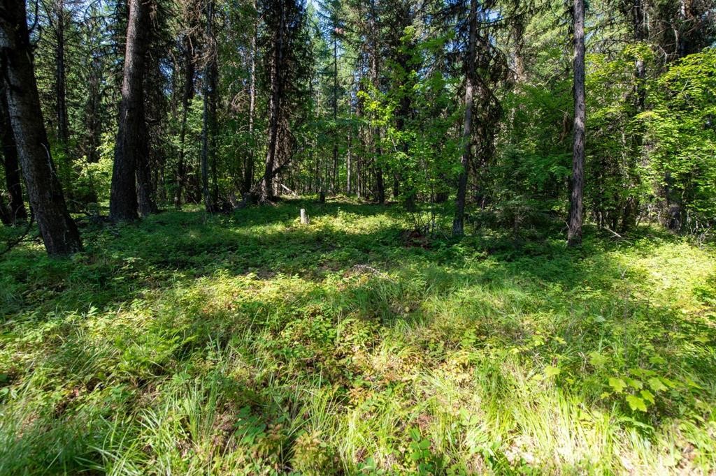 Nhn North Beaver Creek Property Photo 21