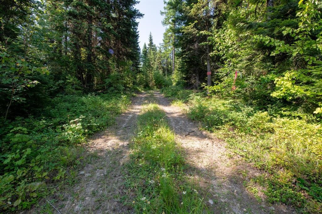 Nhn North Beaver Creek Property Photo 22