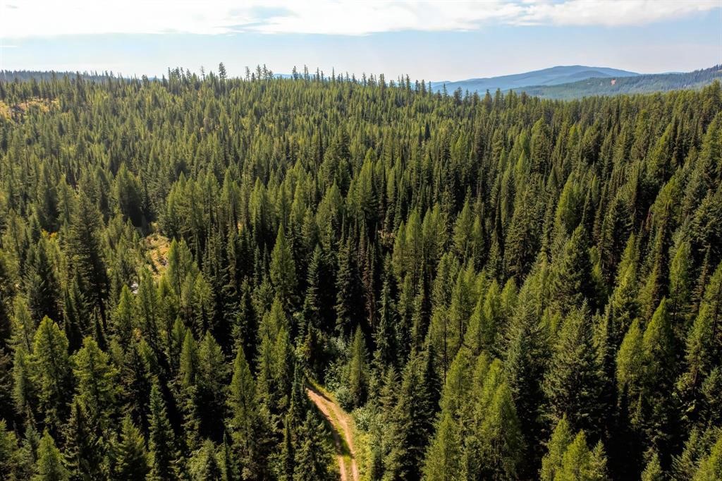 Nhn North Beaver Creek Property Photo 23