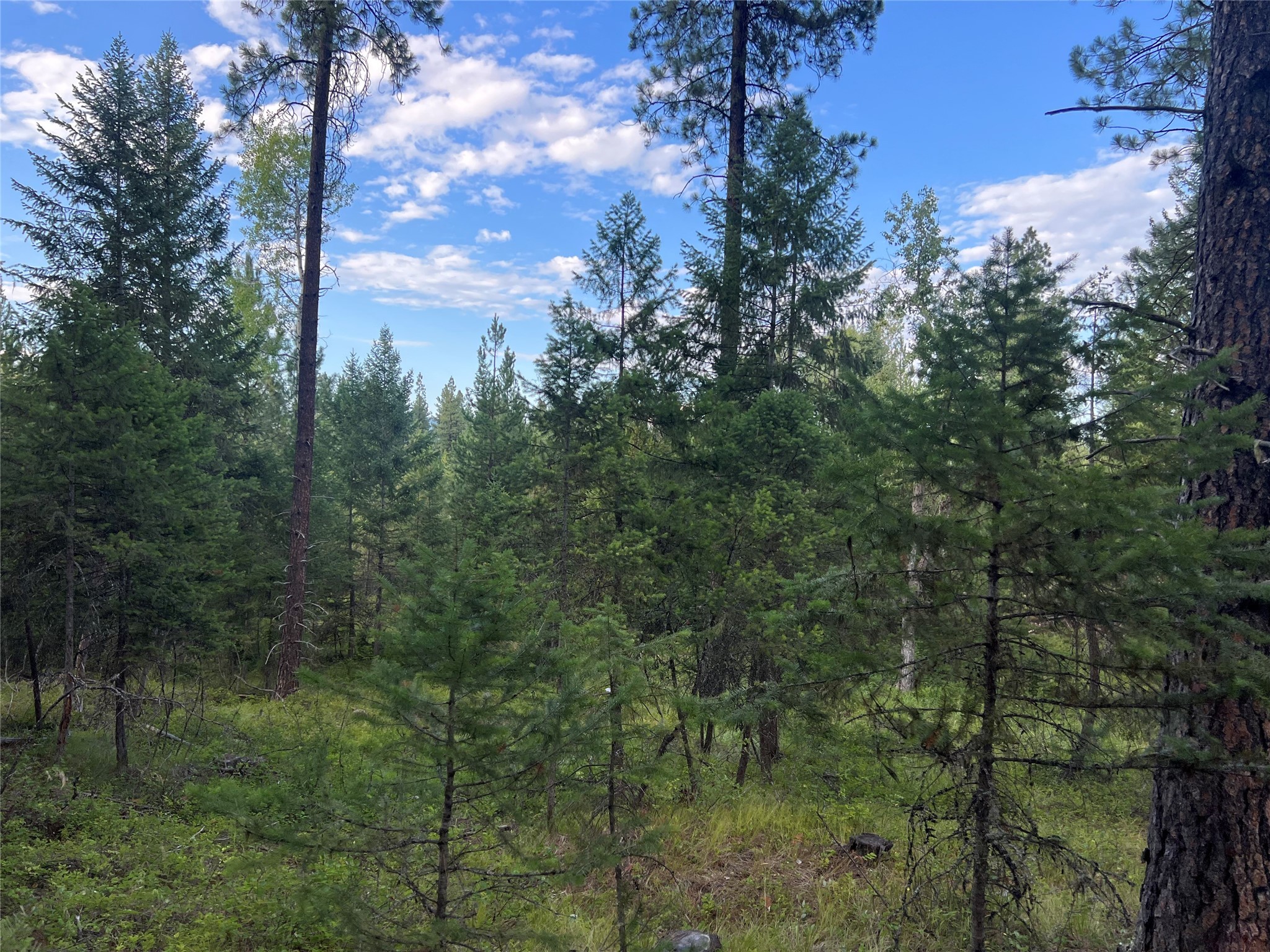 TBD Granite Lake Road 6 Property Photo 1