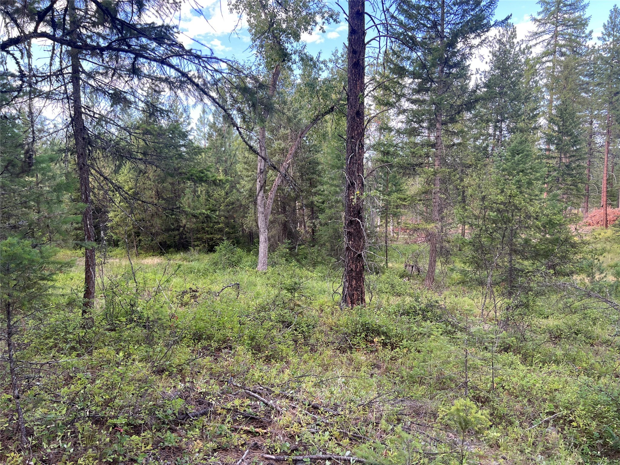 Tbd Granite Lake Road 6 Property Photo 2
