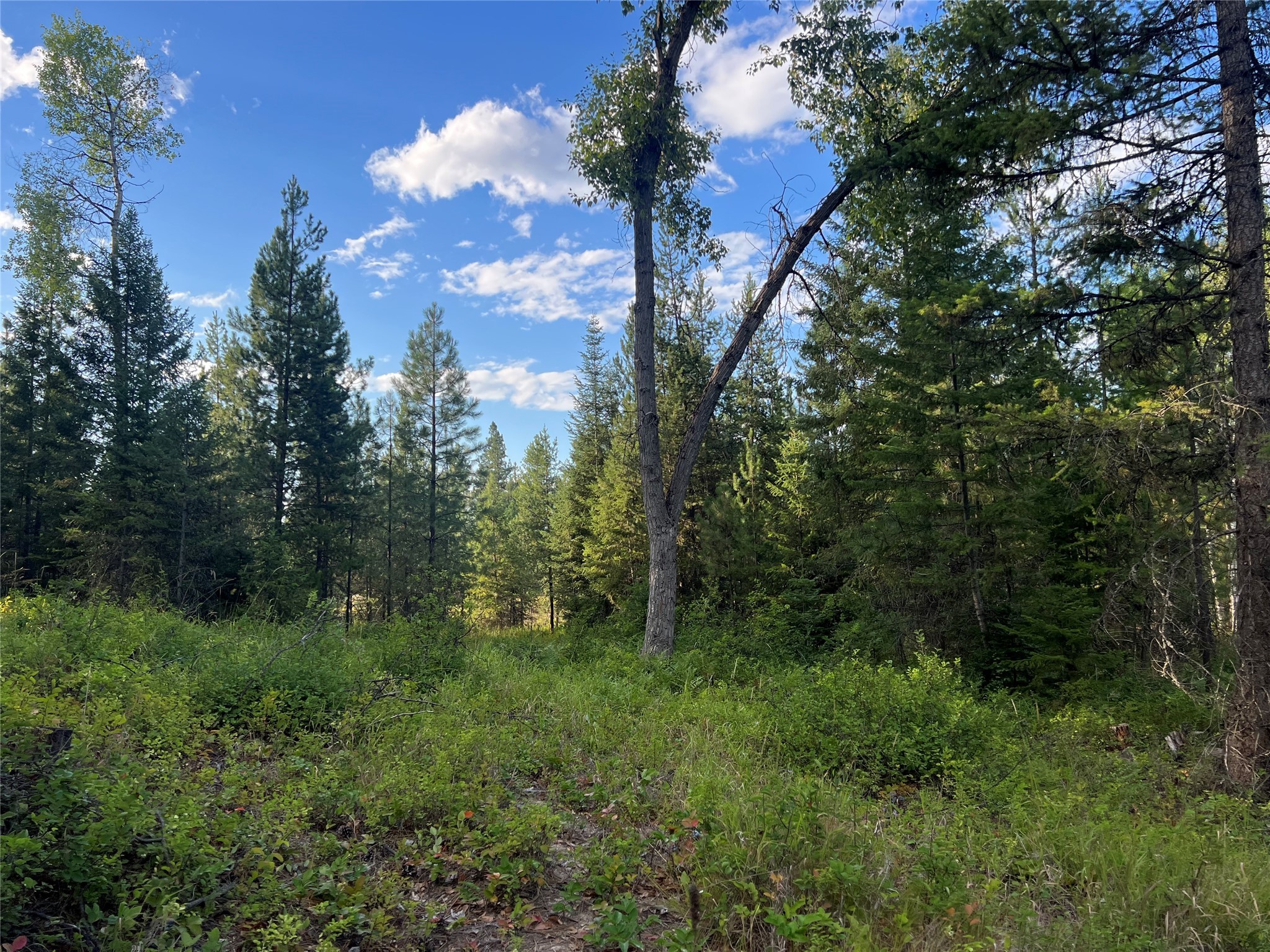 Tbd Granite Lake Road 6 Property Photo 3