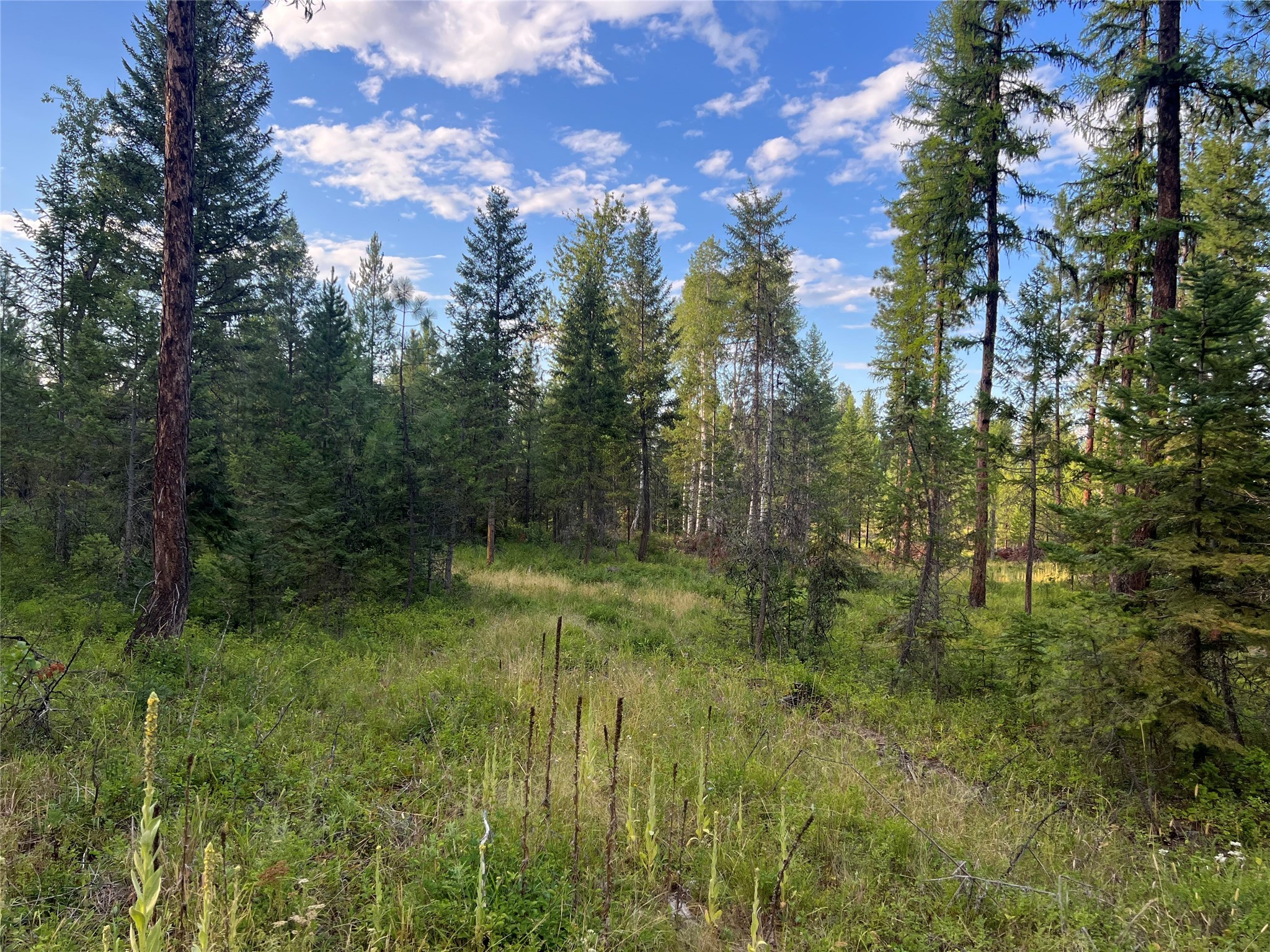 Tbd Granite Lake Road 6 Property Photo 4