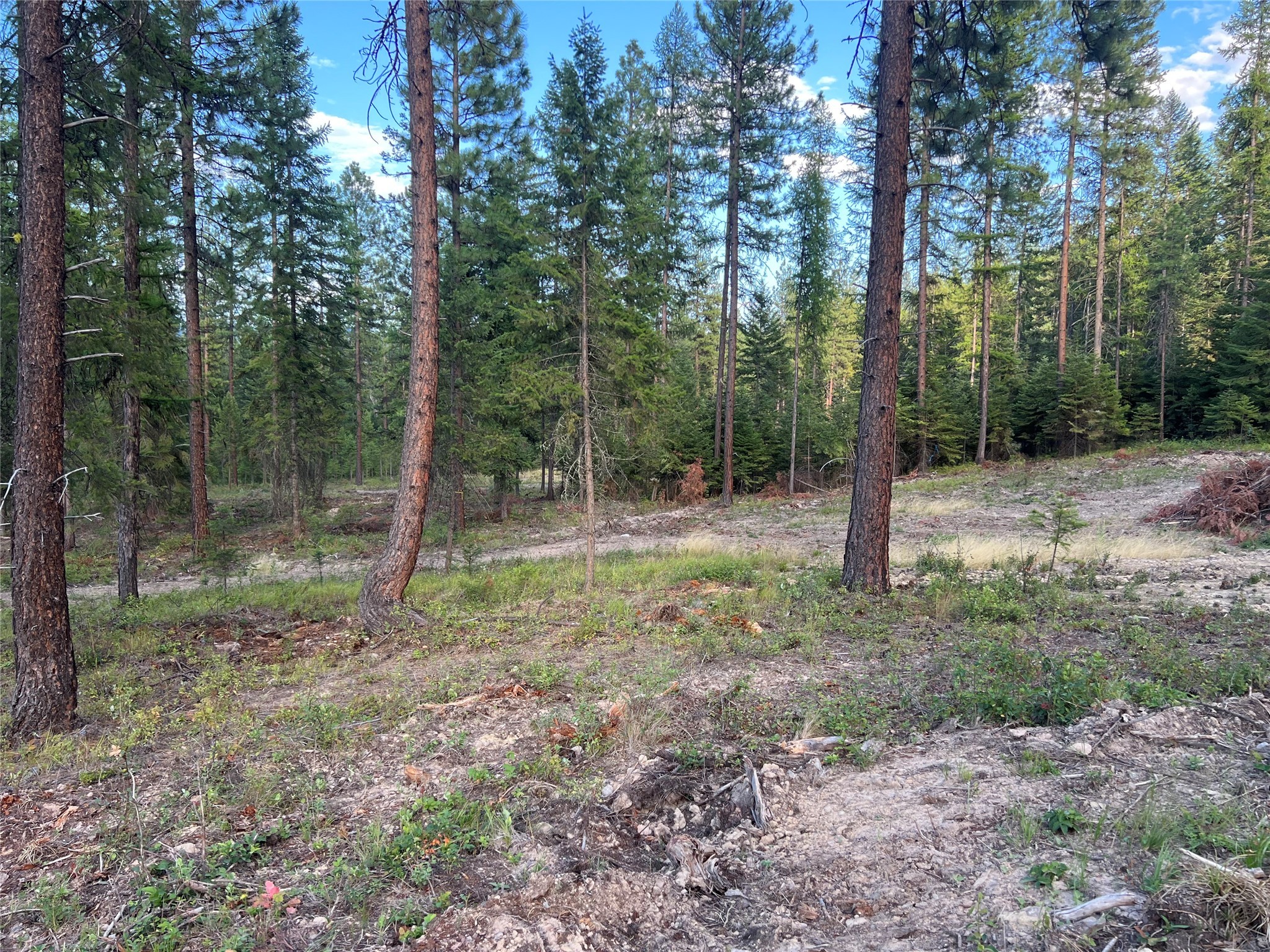 Tbd Granite Lake Road 6 Property Photo 5