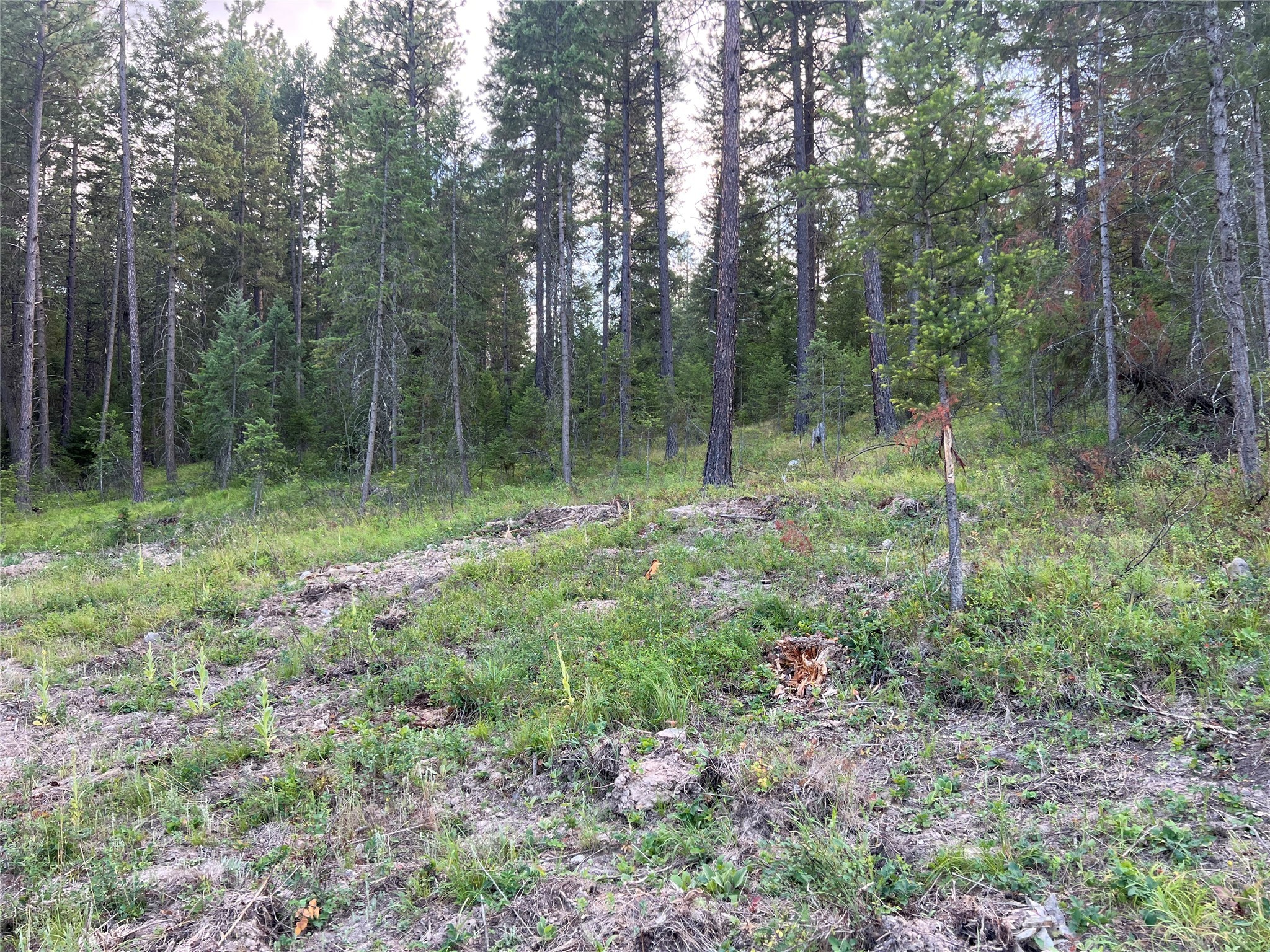 Tbd Granite Lake Road 6 Property Photo 6