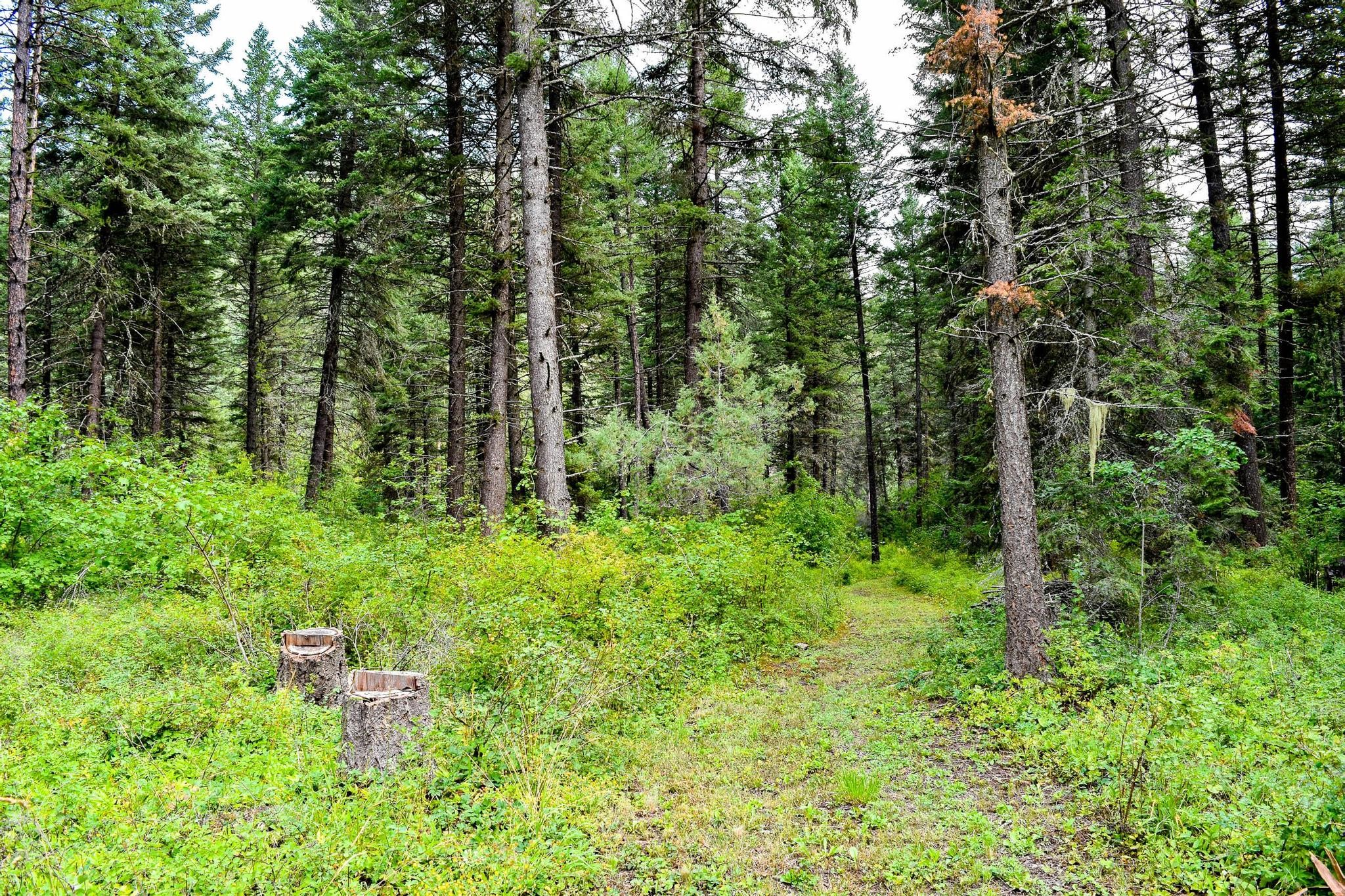 65304 Snowshoe Lane Property Photo 32