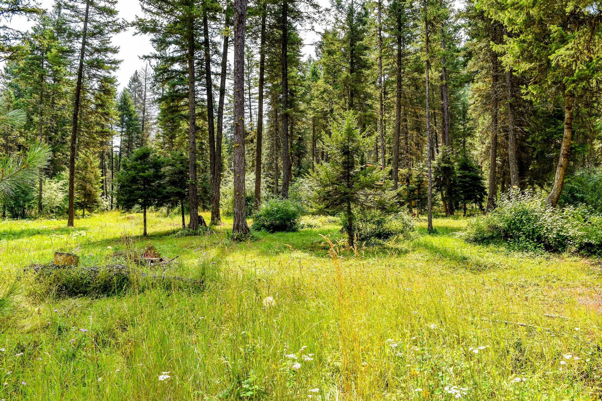 65304 Snowshoe Lane Property Photo 47