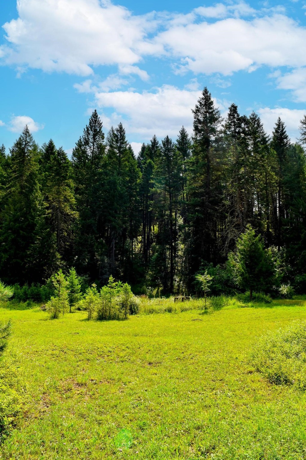 65304 Snowshoe Lane Property Photo 49