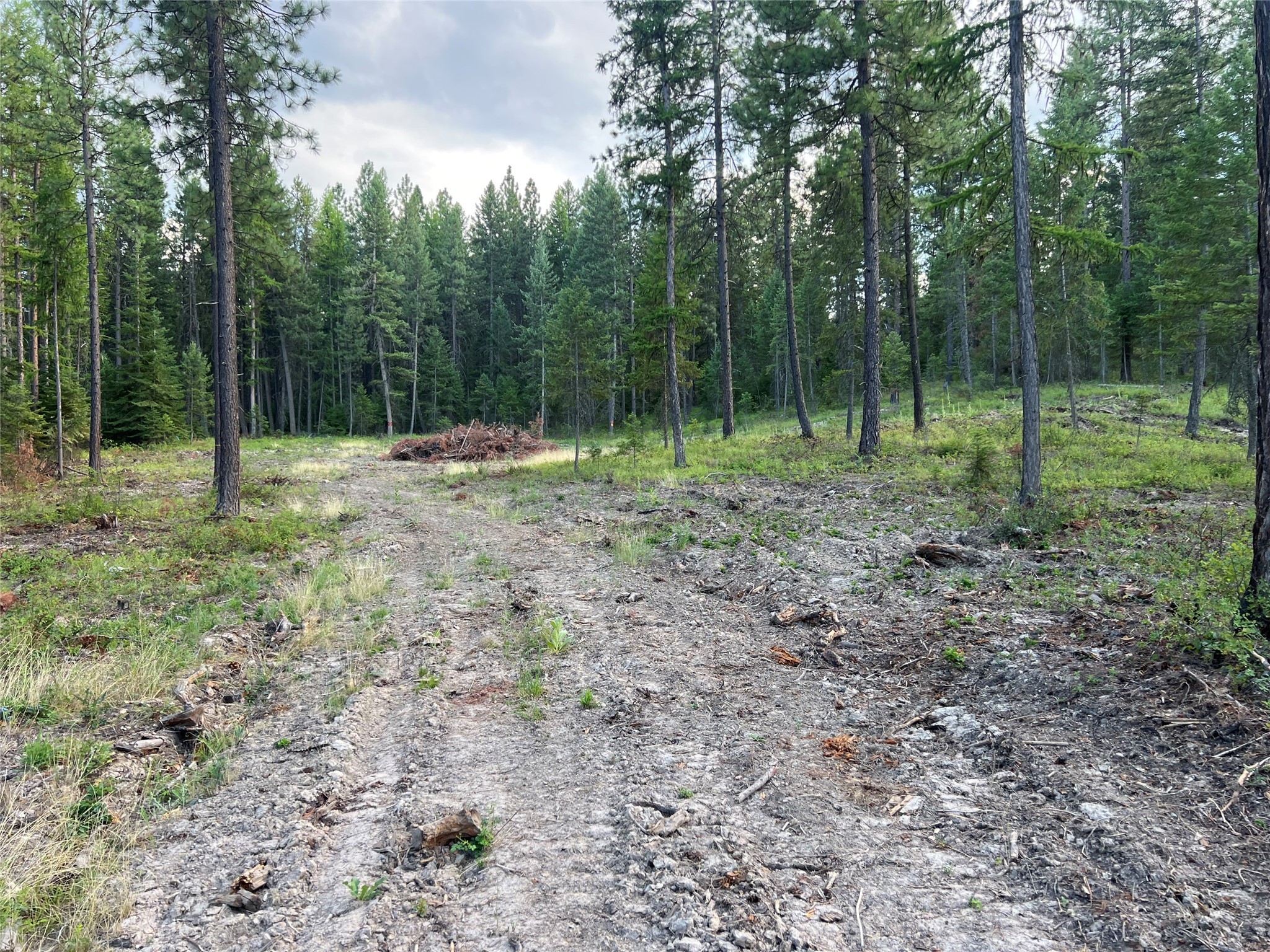 TBD Granite Lake Road 7 Property Photo 1