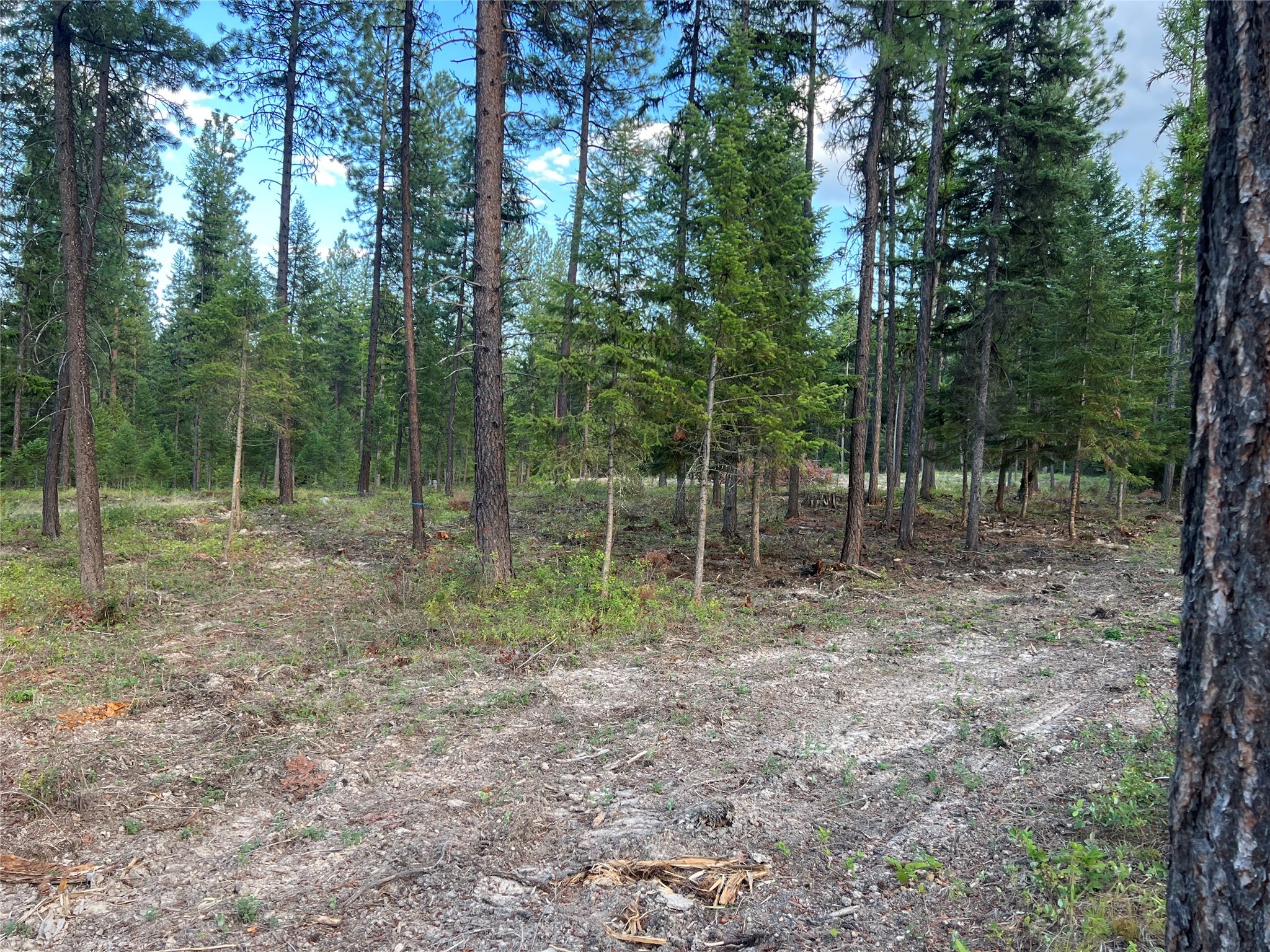 Tbd Granite Lake Road 7 Property Photo 2