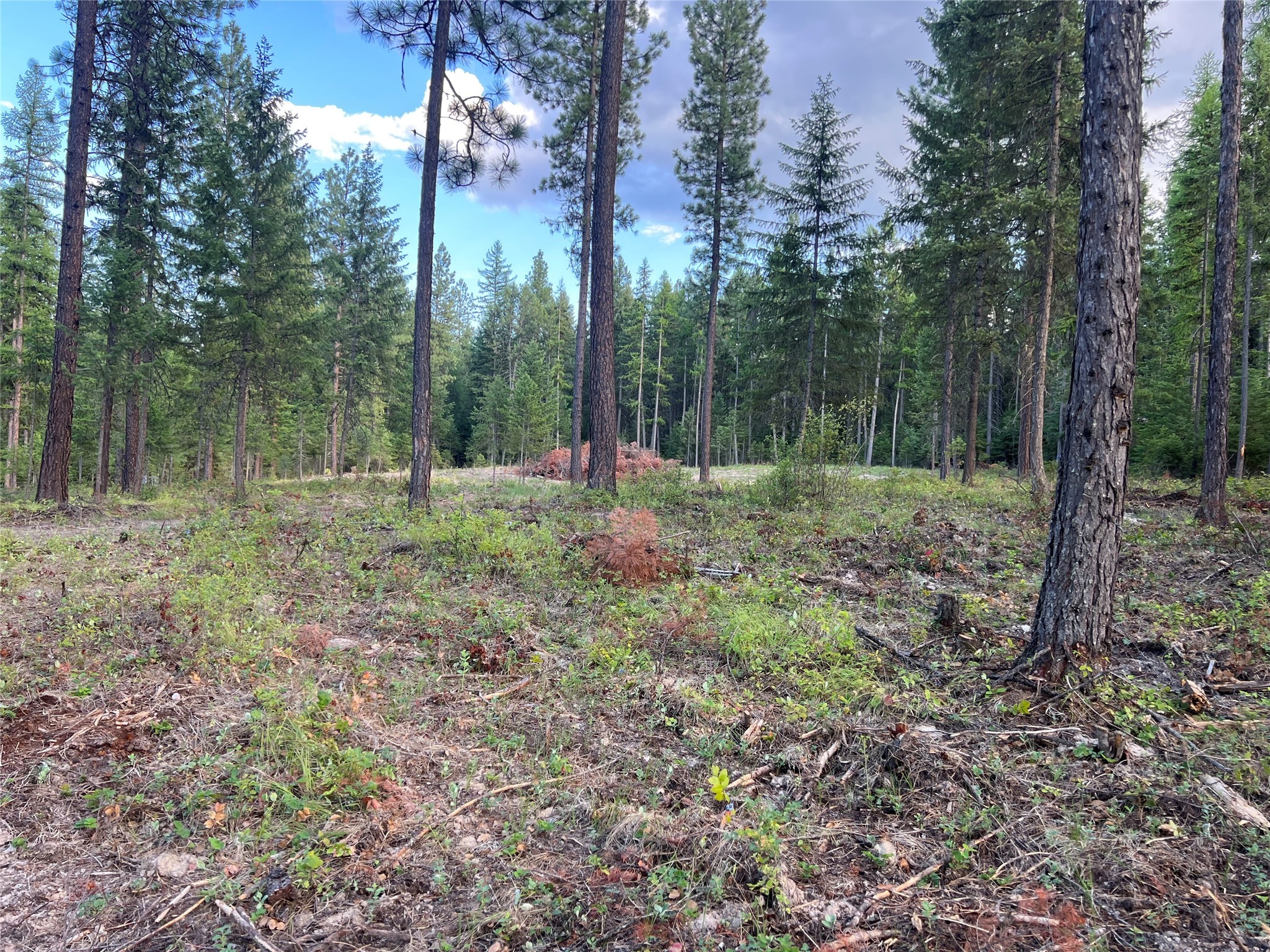 Tbd Granite Lake Road 7 Property Photo 3