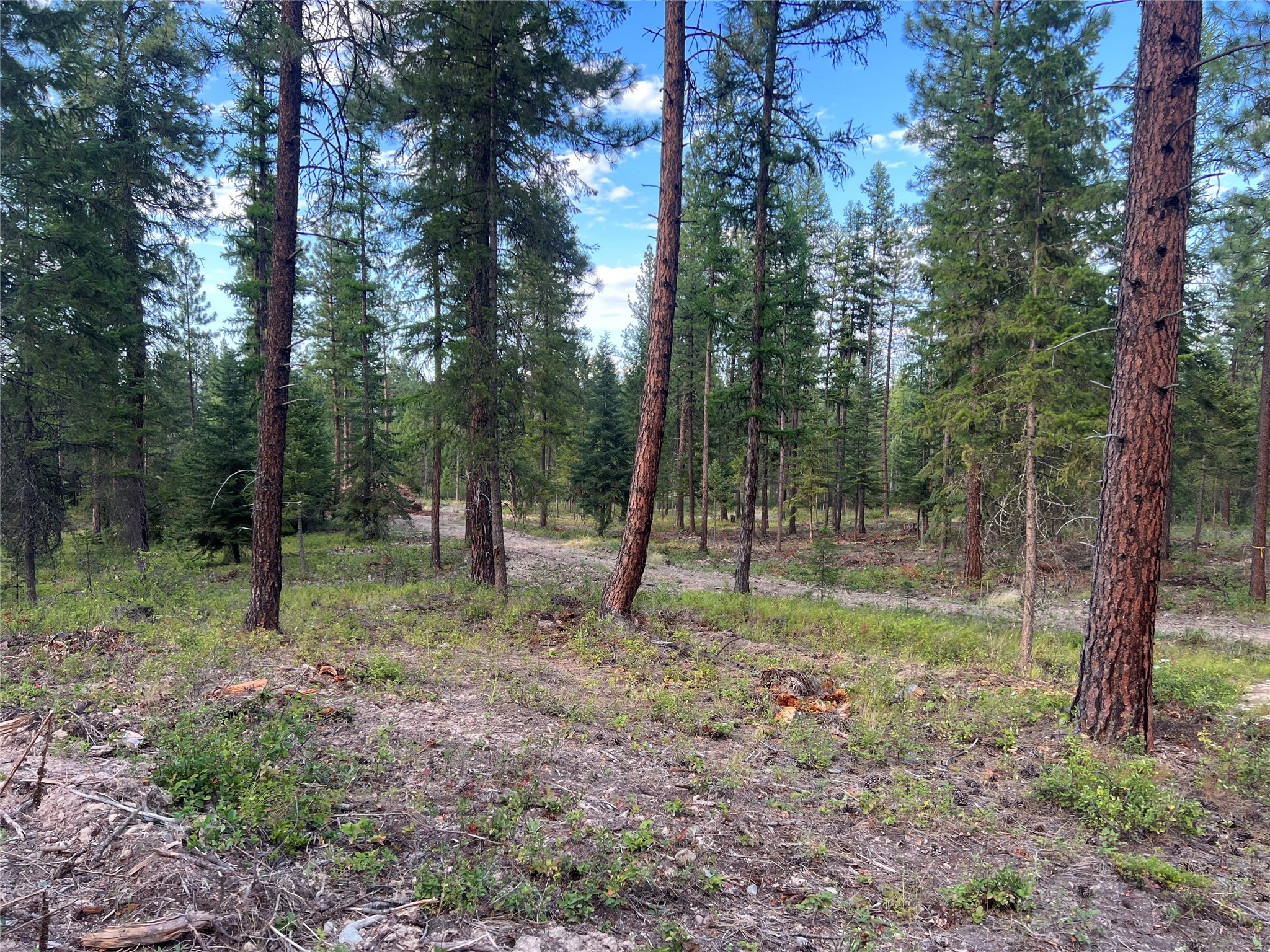 Tbd Granite Lake Road 7 Property Photo 4