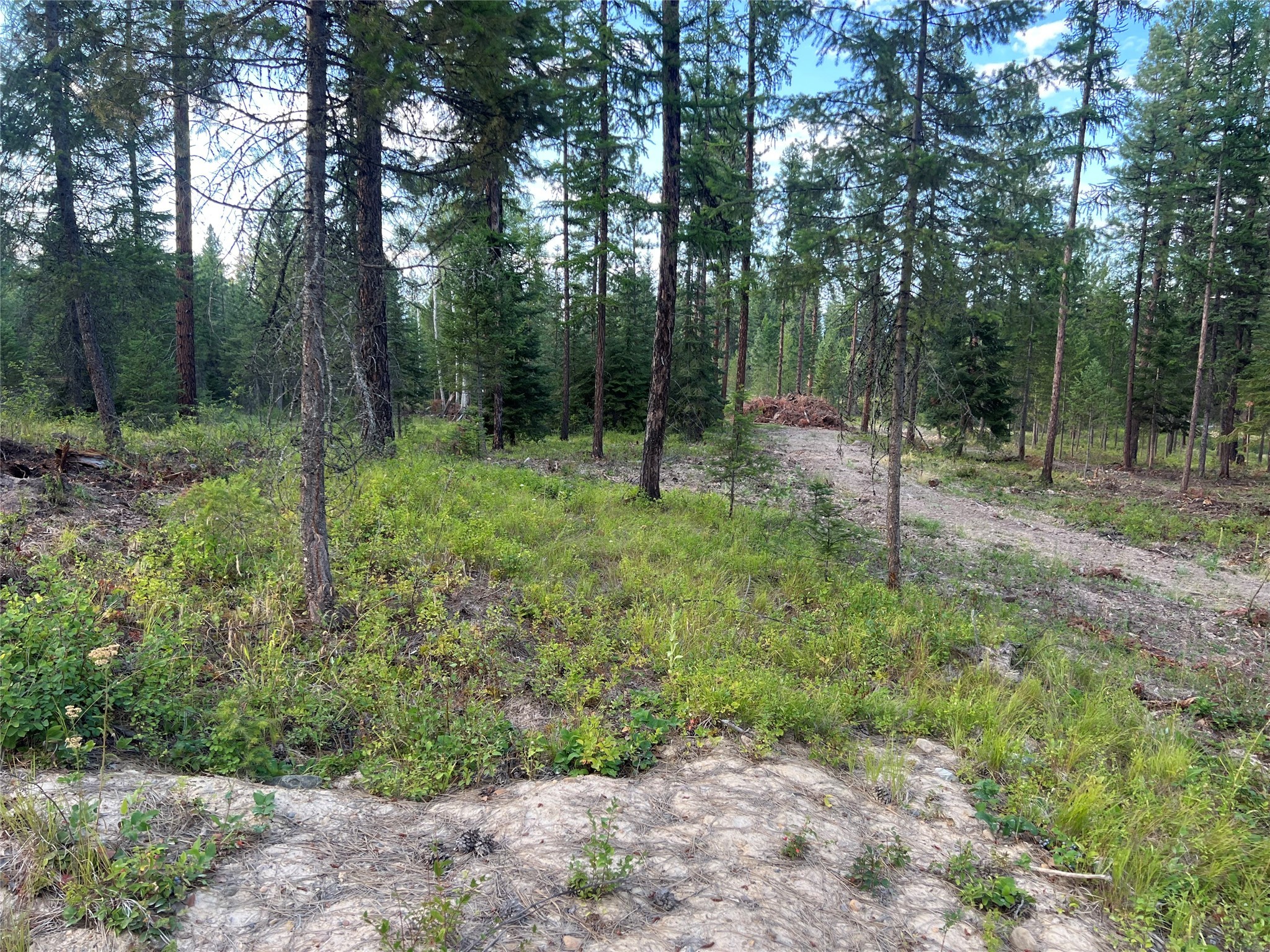 Tbd Granite Lake Road 7 Property Photo 5