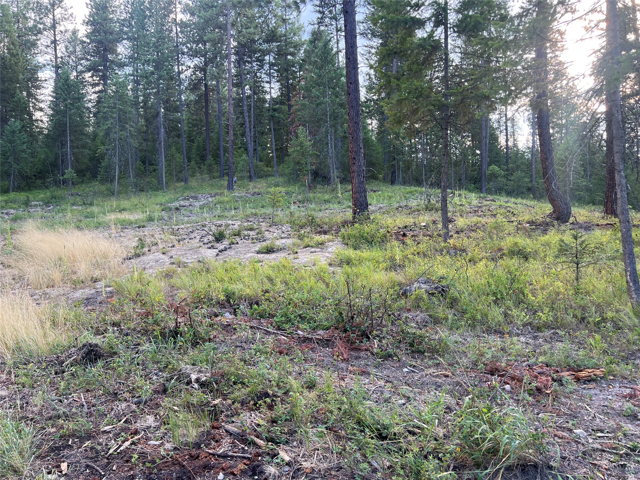 Tbd Granite Lake Road 7 Property Photo 6
