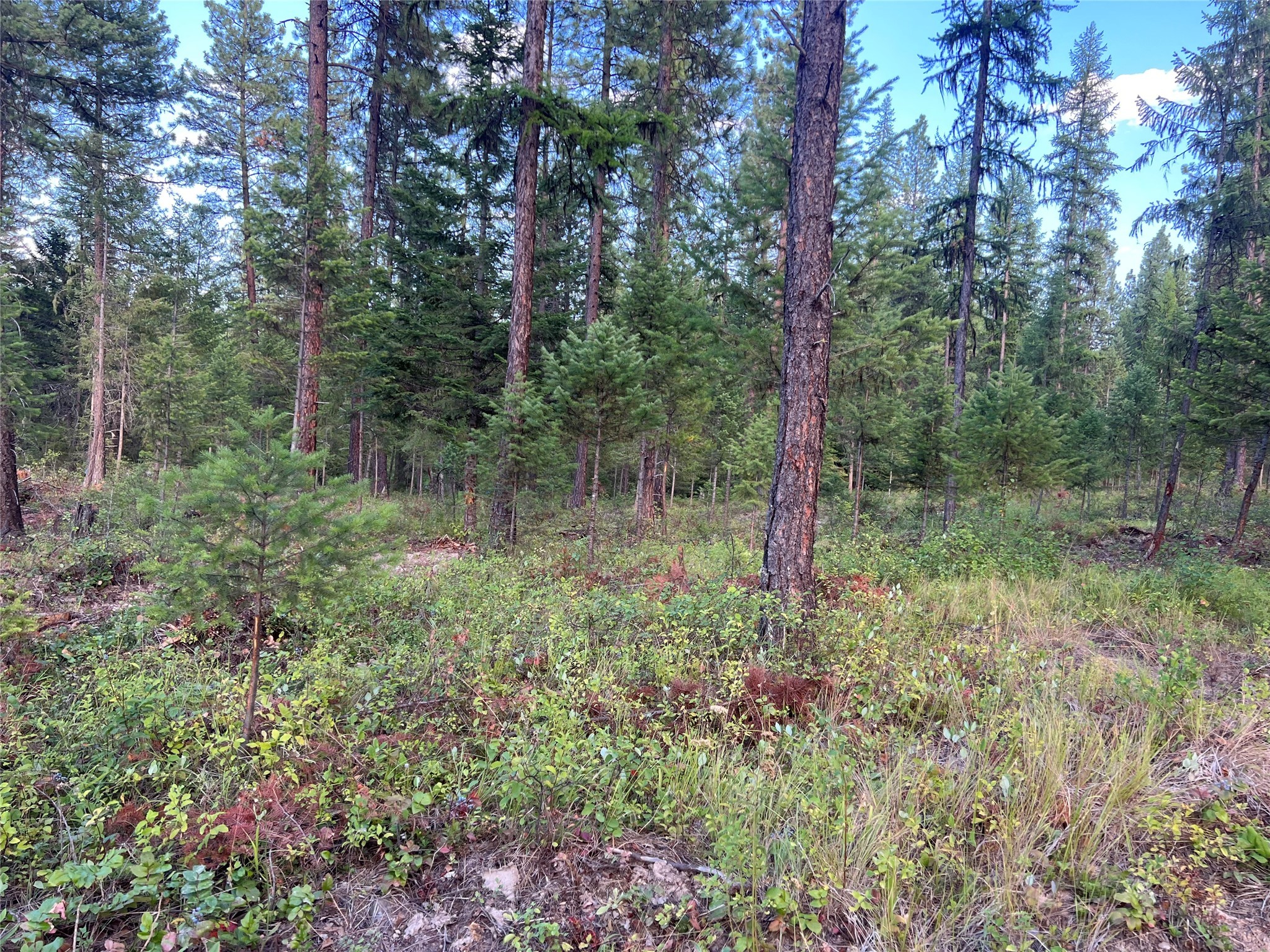 Tbd Granite Lake Road 8 Property Photo 3