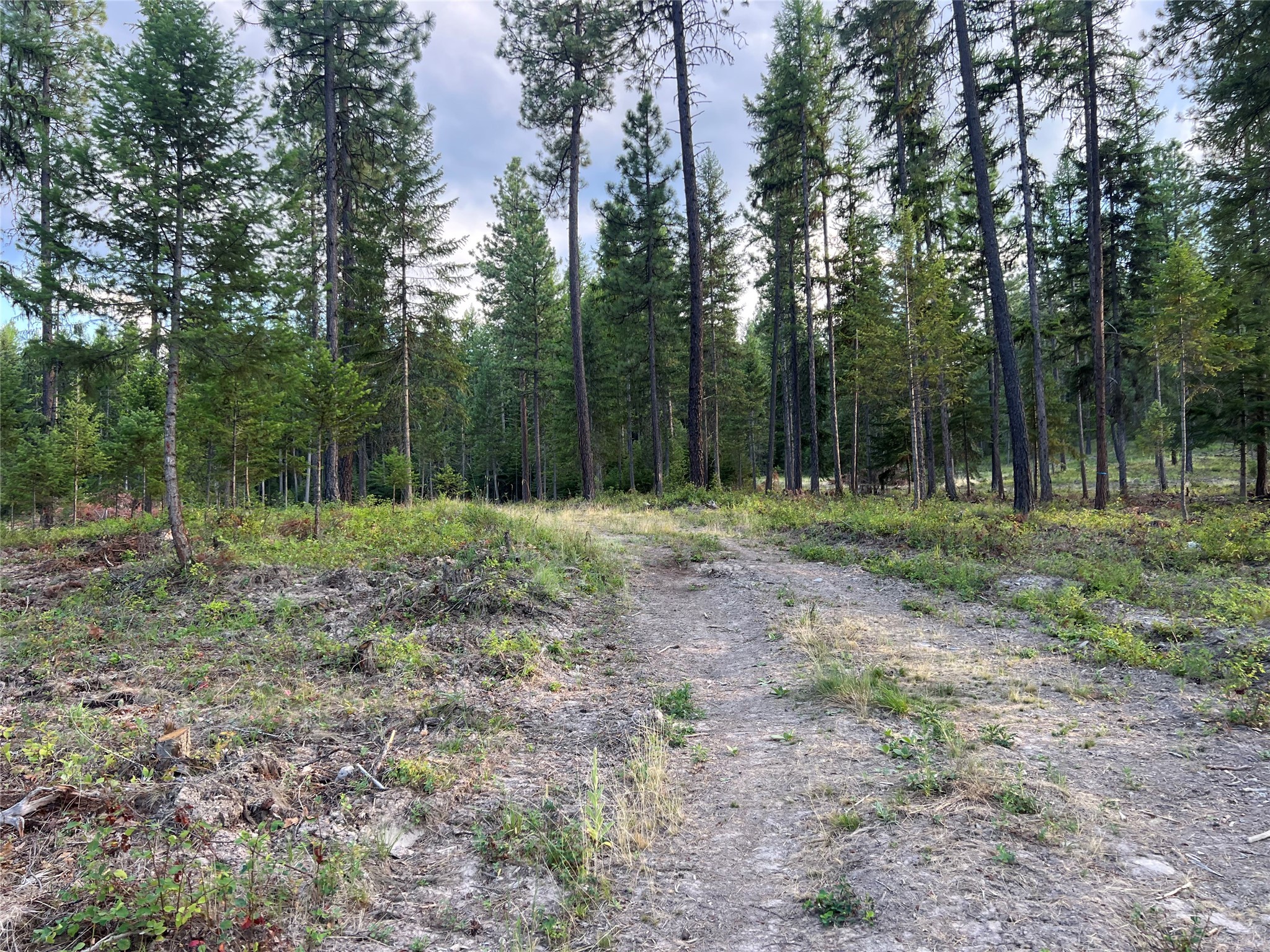 Tbd Granite Lake Road 8 Property Photo 4