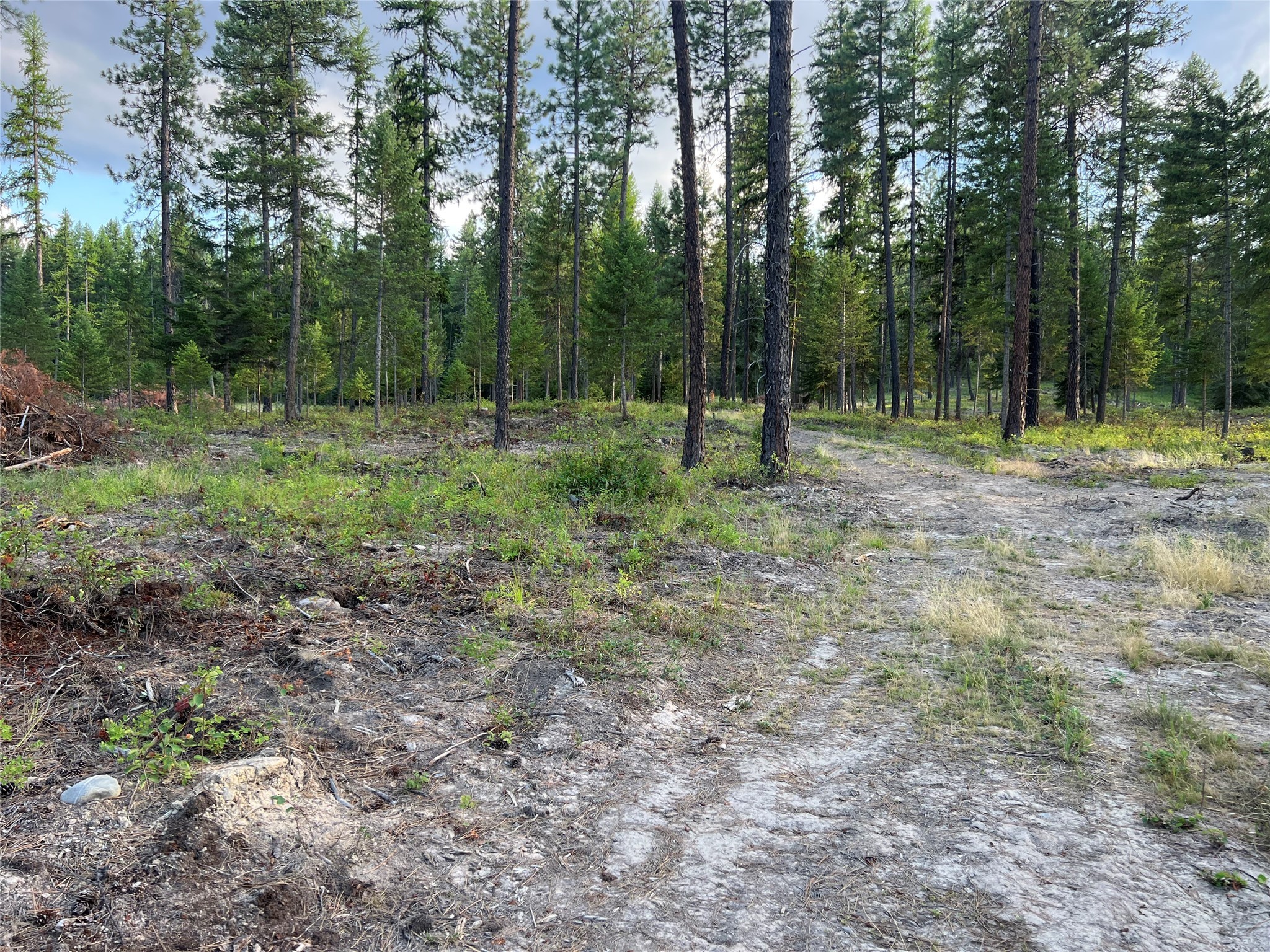 Tbd Granite Lake Road 8 Property Photo 5