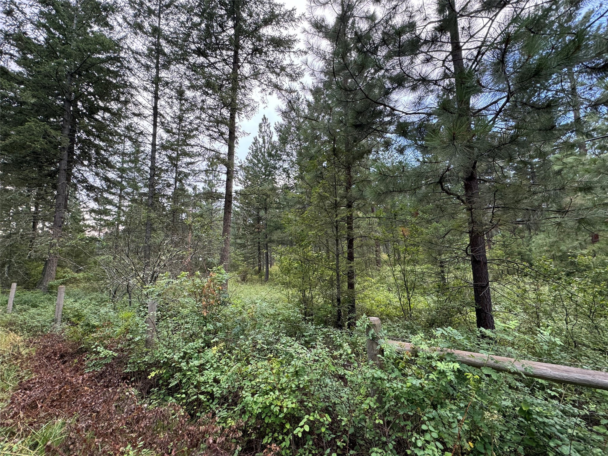 Nhn Rocky Point Road Property Photo 1