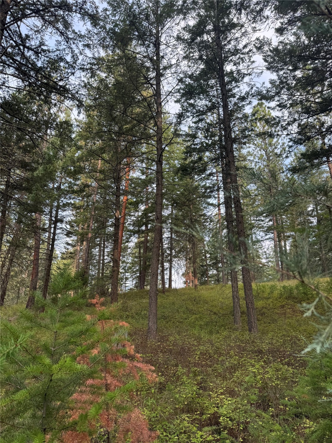 Nhn Rocky Point Road Property Photo 2