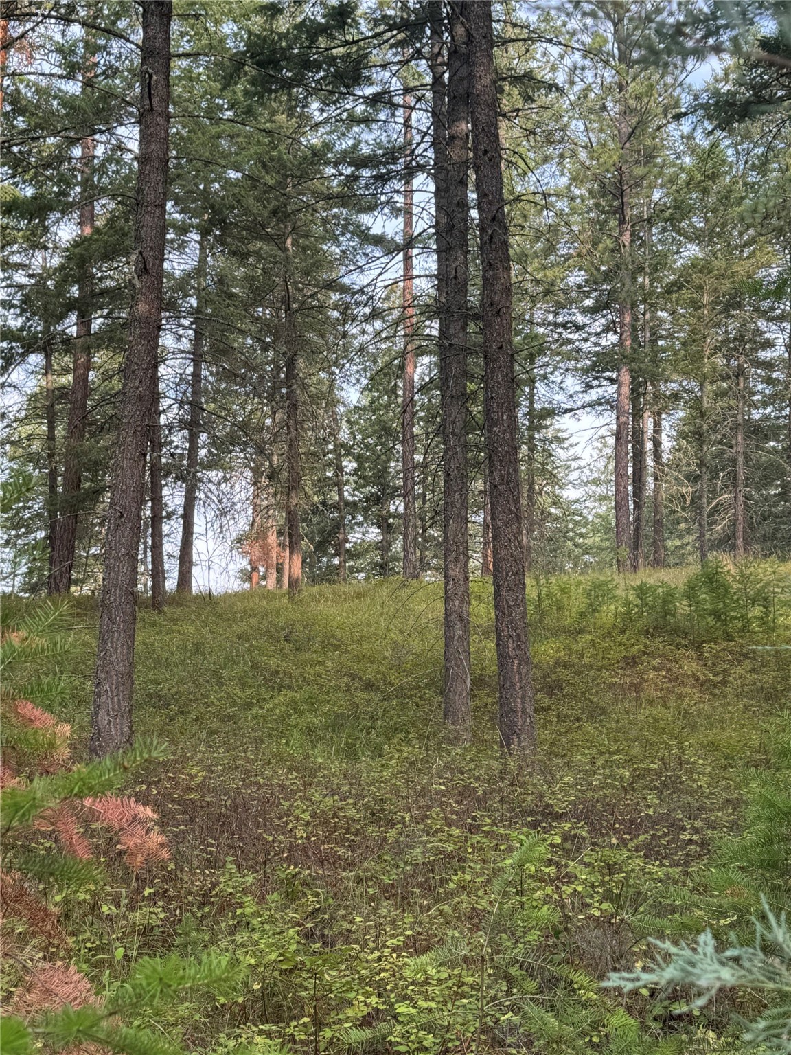 Nhn Rocky Point Road Property Photo 3
