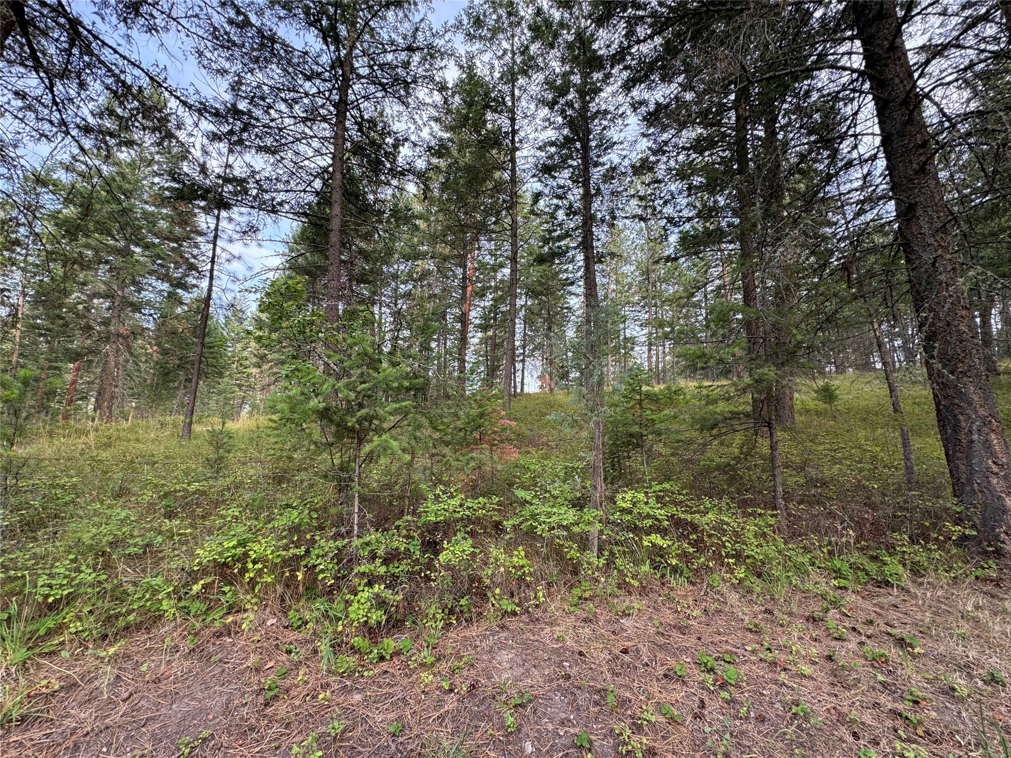 Nhn Rocky Point Road Property Photo 4