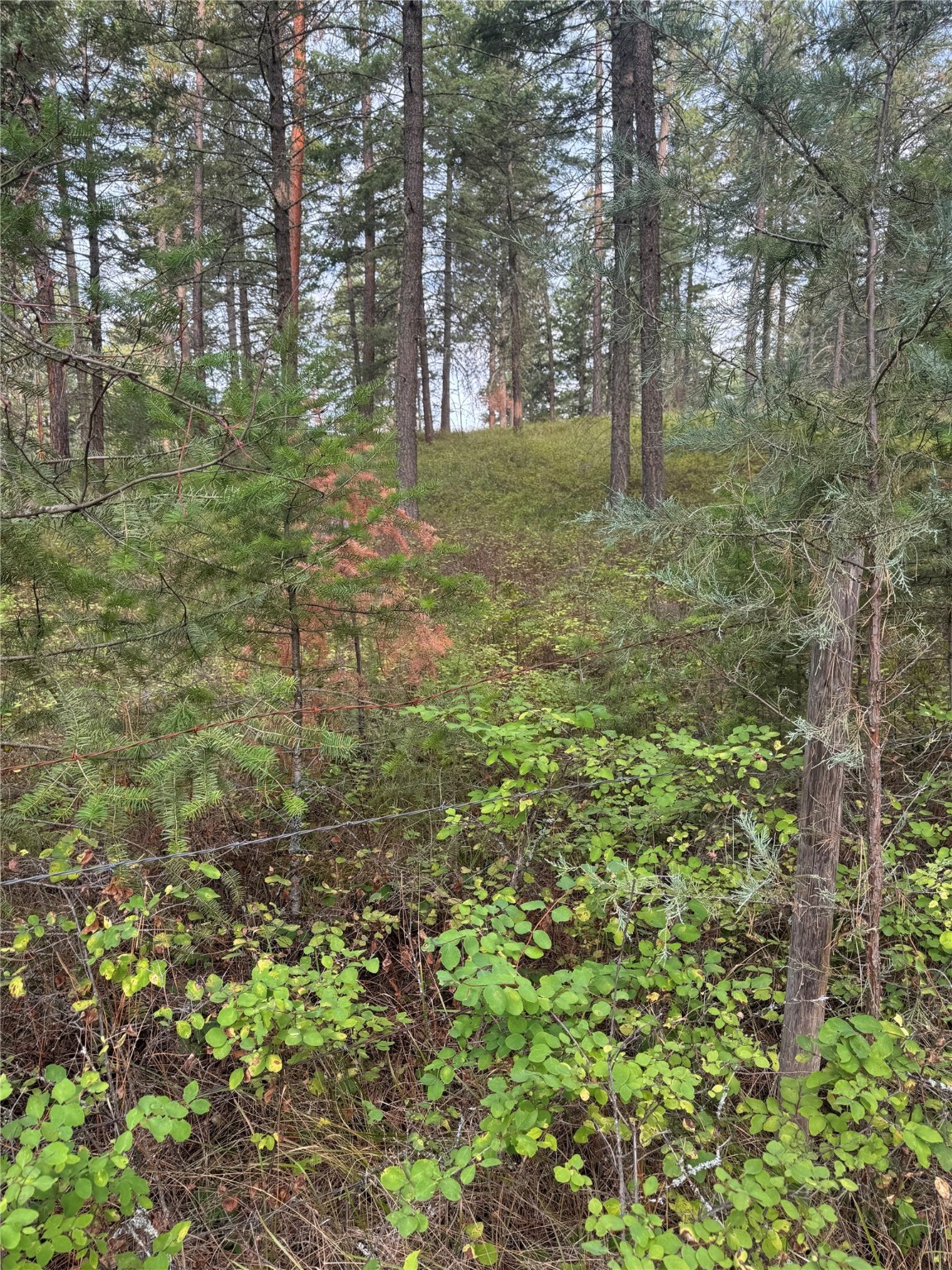Nhn Rocky Point Road Property Photo 5