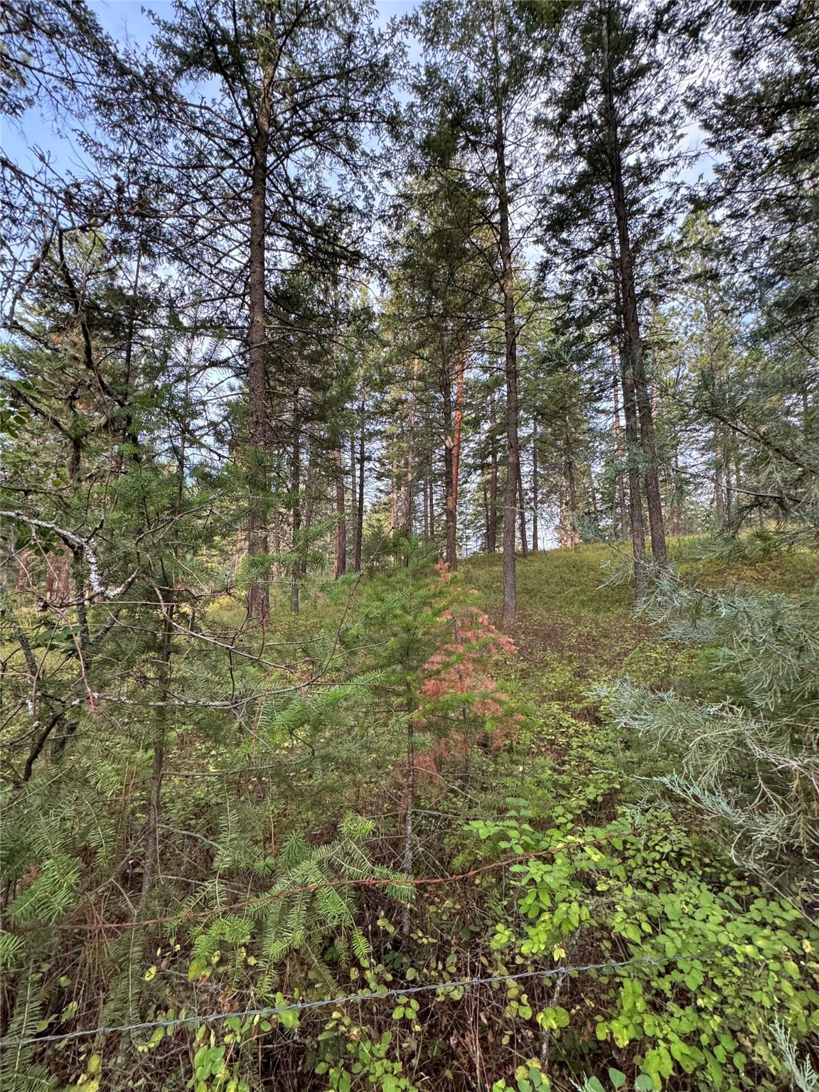 Nhn Rocky Point Road Property Photo 6