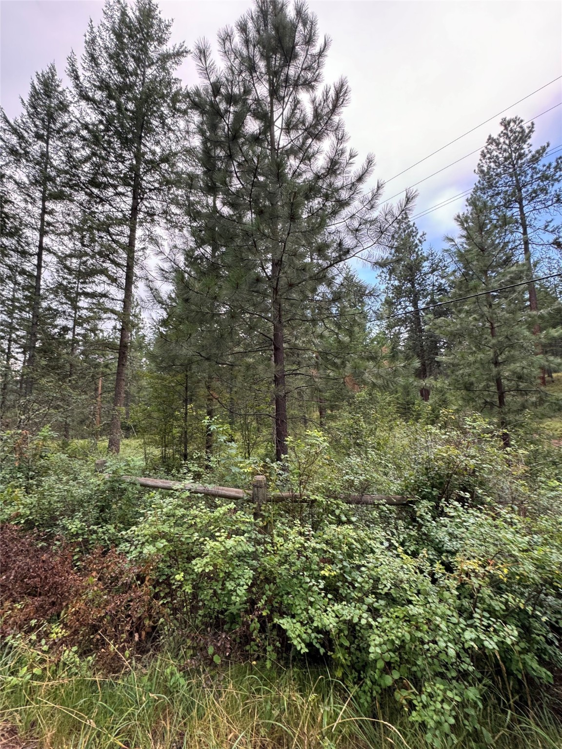 Nhn Rocky Point Road Property Photo 7