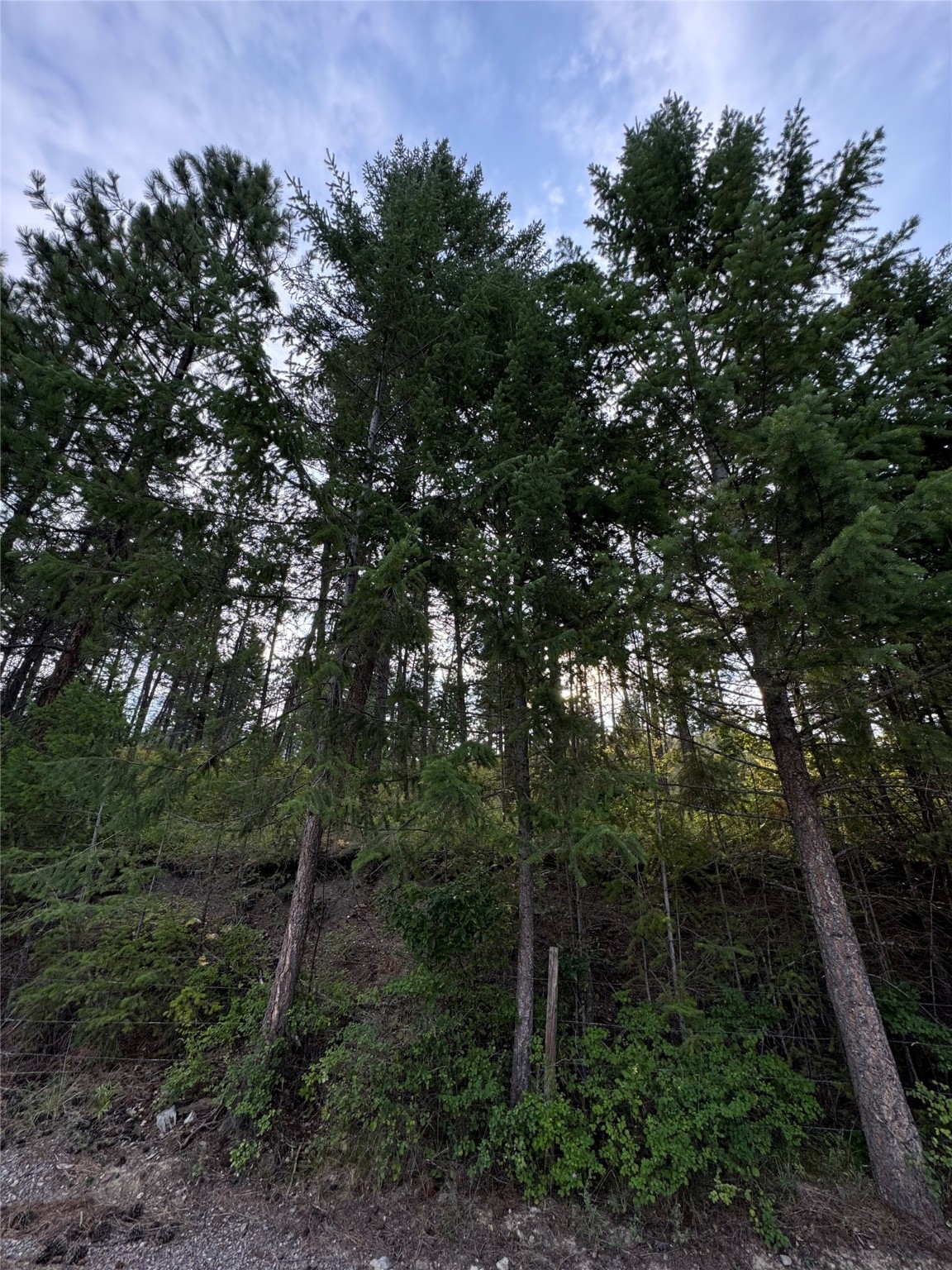 Nhn Rocky Point Road Property Photo 8