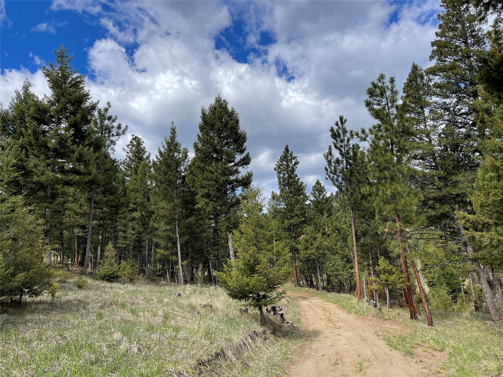 Tract 2b Grizzly Gulch Drive Property Photo 1