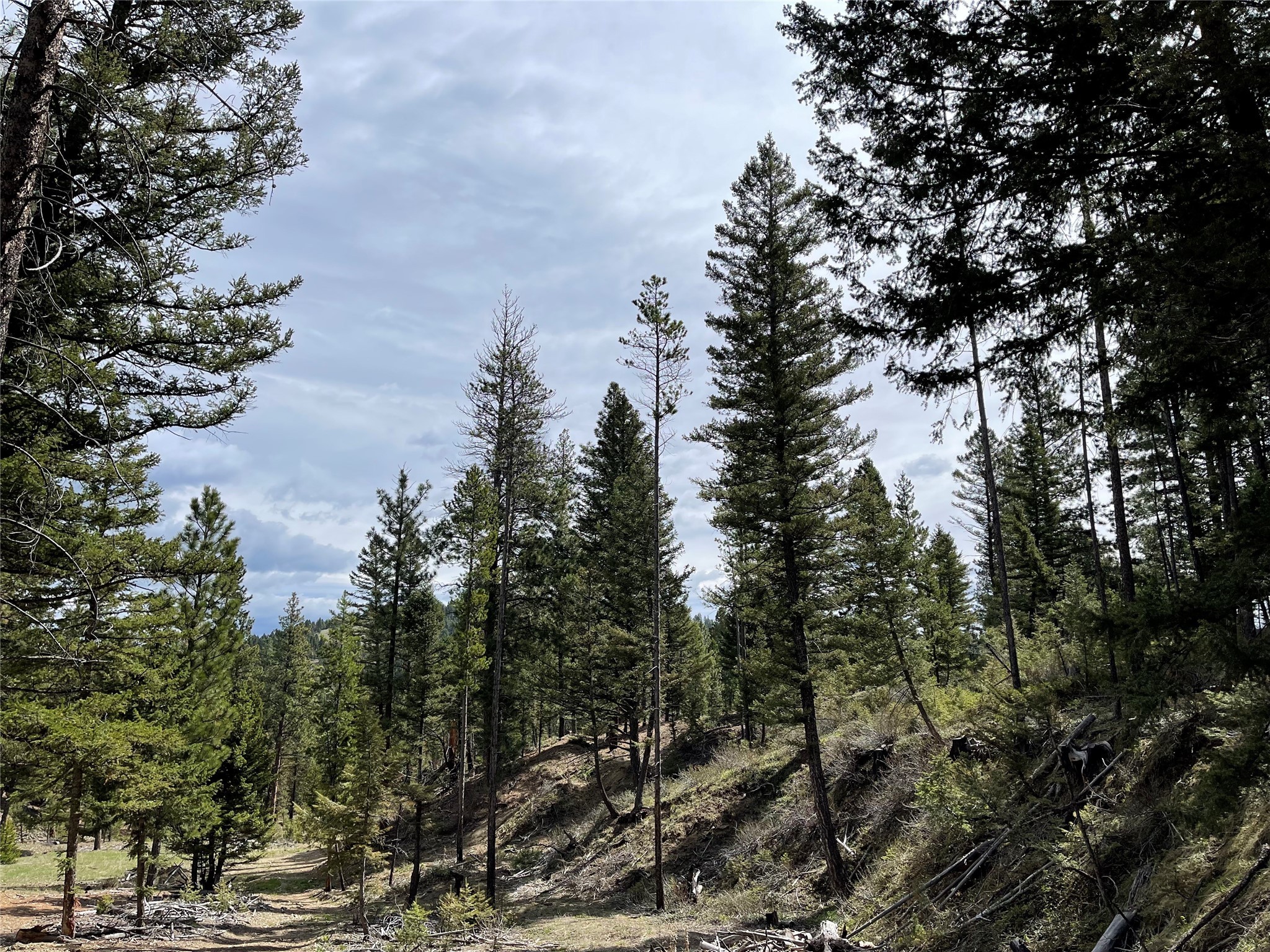 Tract 2b Grizzly Gulch Drive Property Photo 5