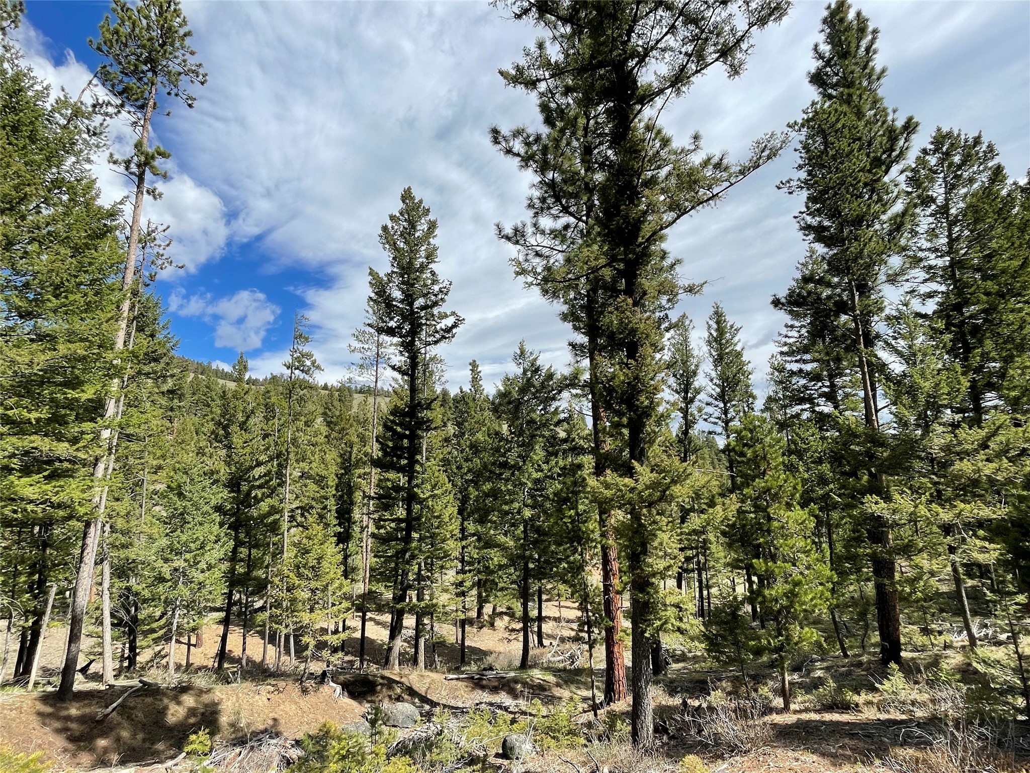 Tract 2b Grizzly Gulch Drive Property Photo 8