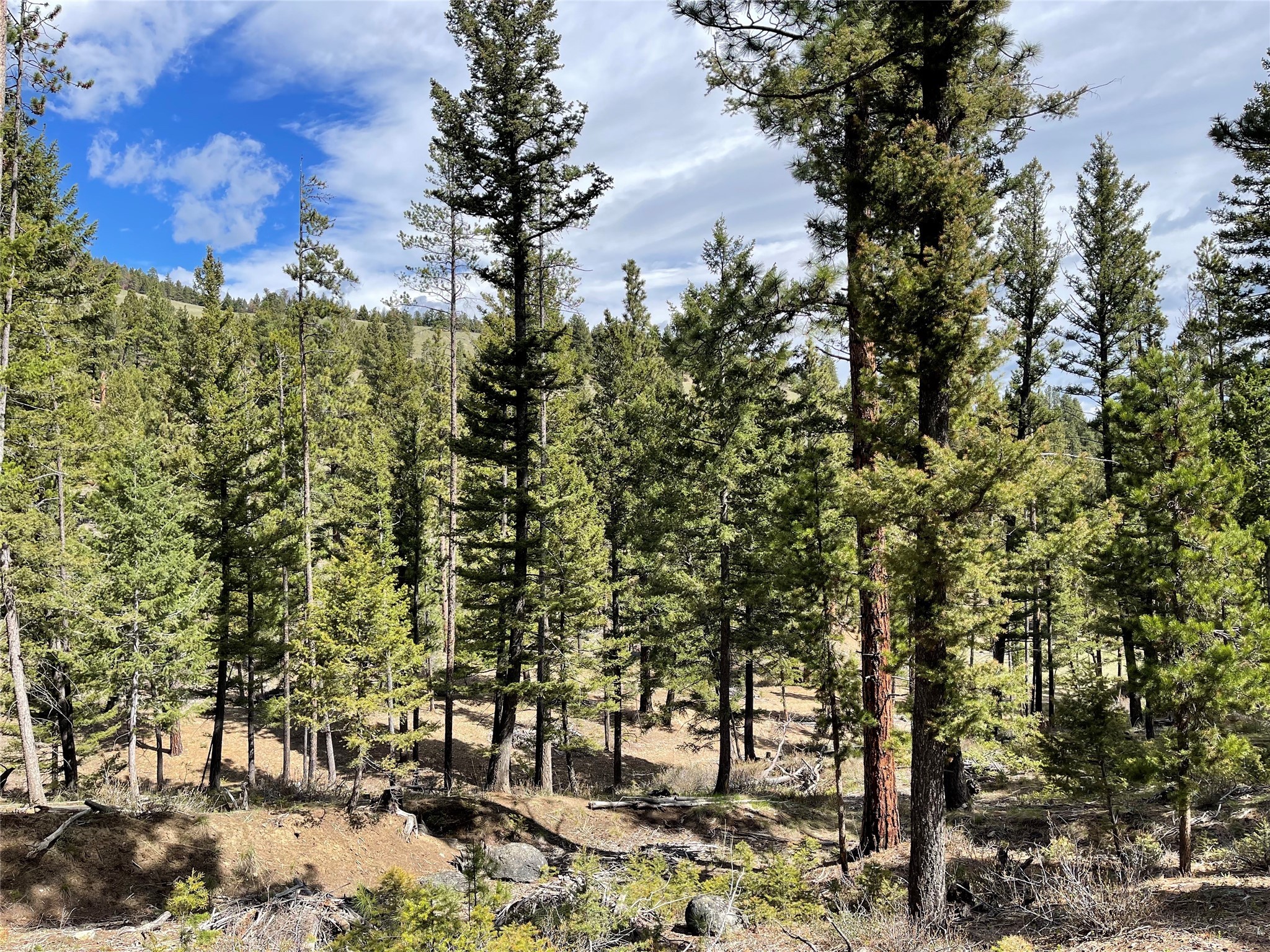 Tract 2b Grizzly Gulch Drive Property Photo 9