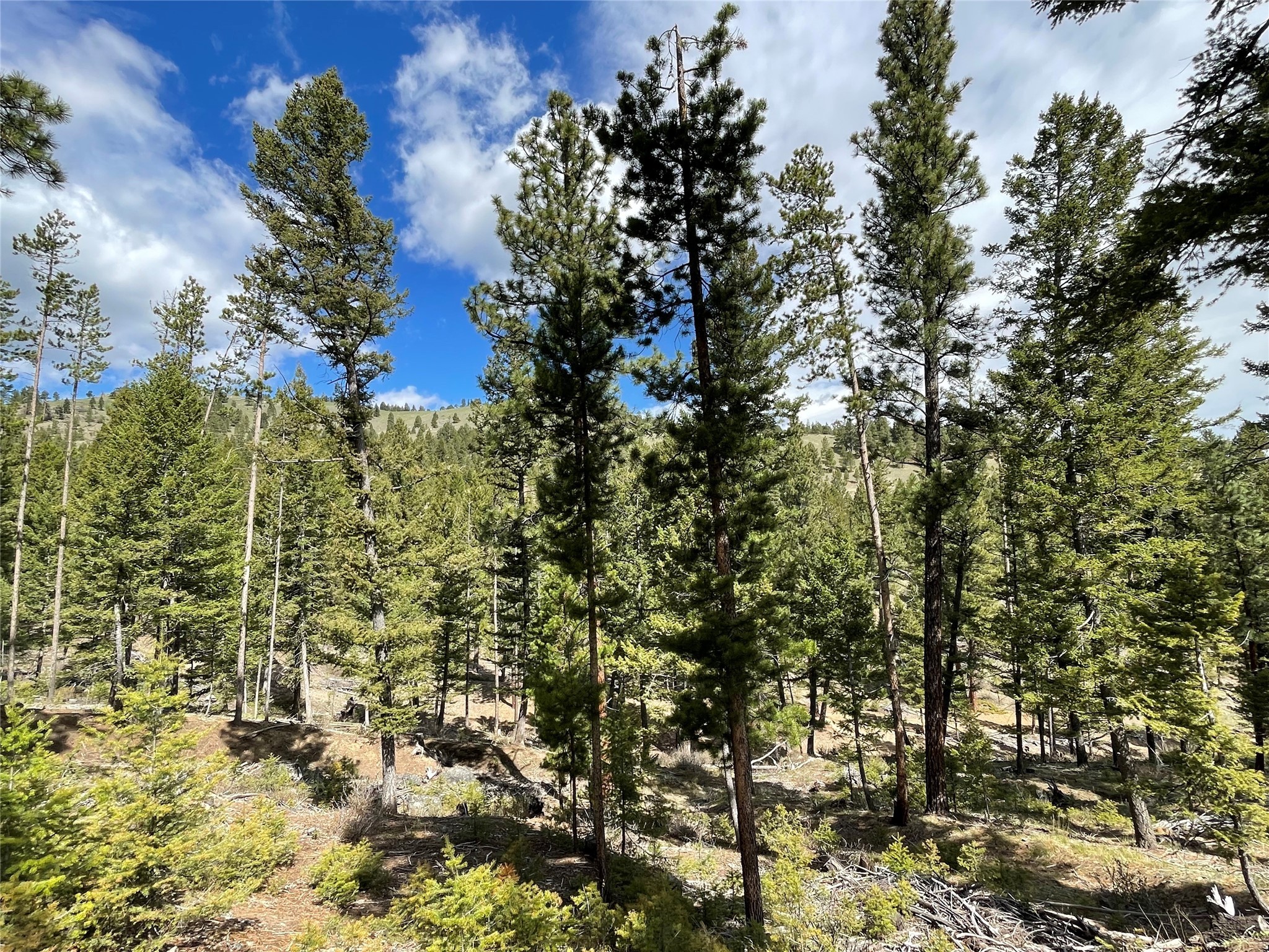Tract 2b Grizzly Gulch Drive Property Photo 11