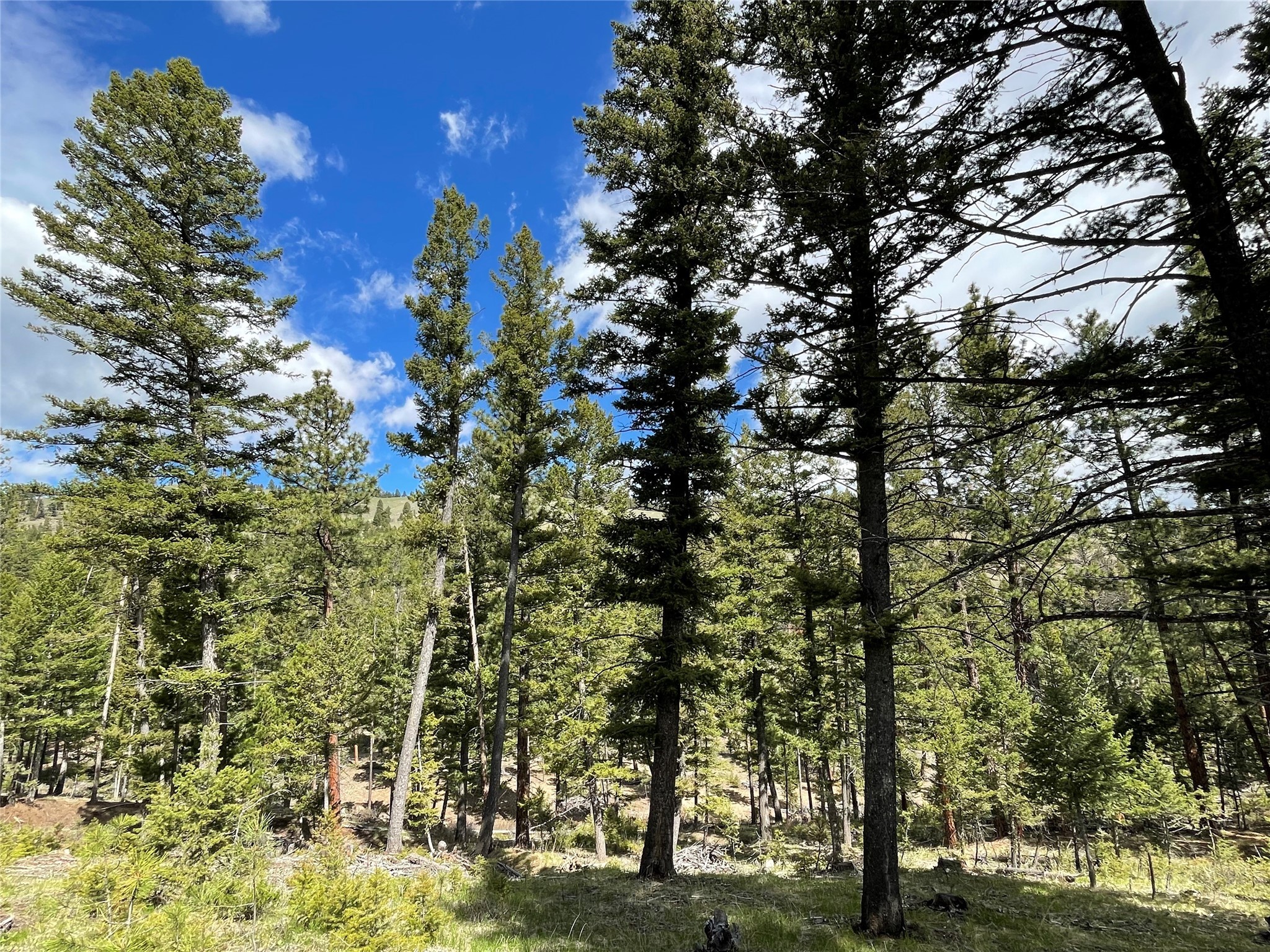 Tract 2b Grizzly Gulch Drive Property Photo 13