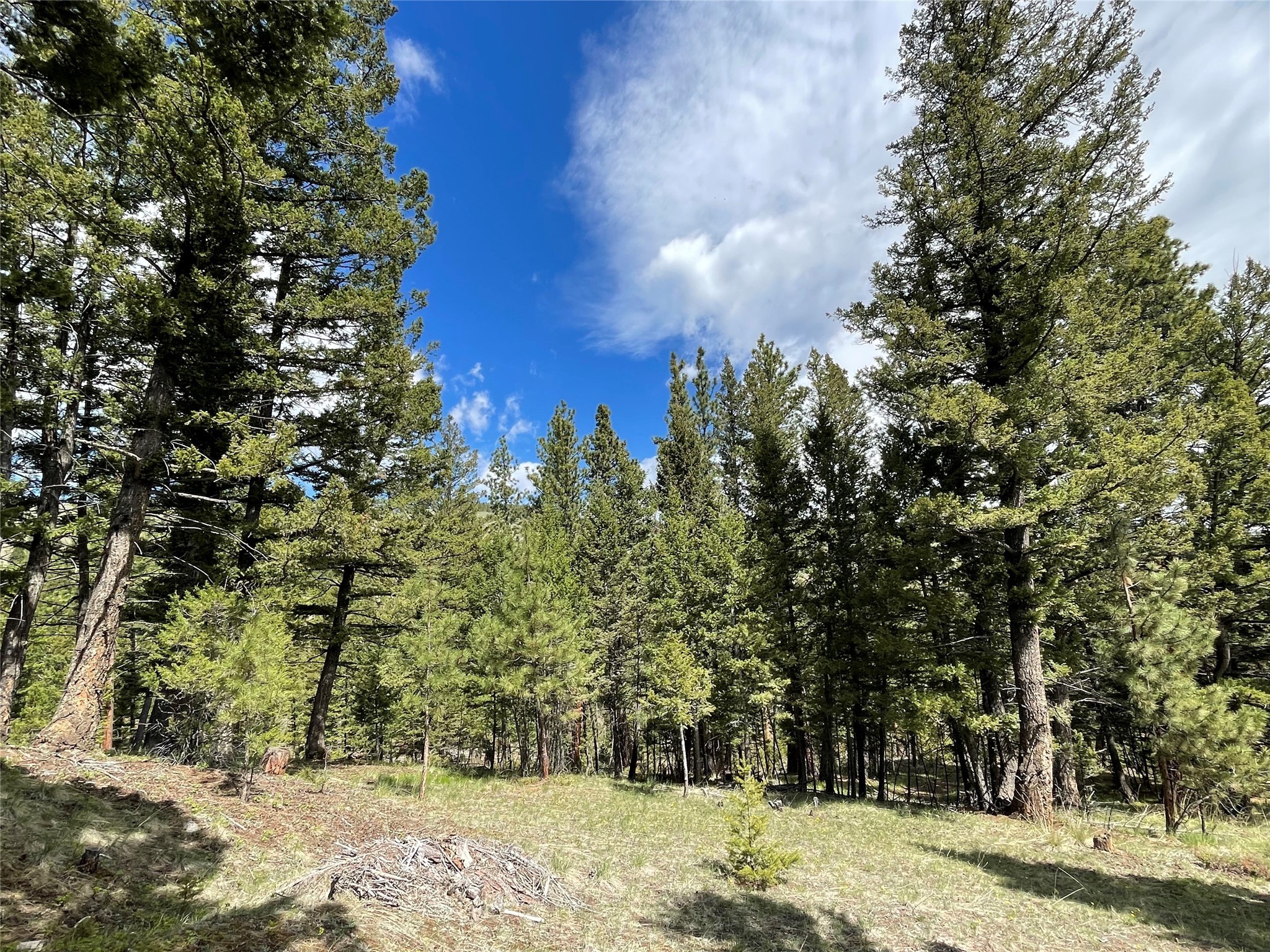 Tract 2b Grizzly Gulch Drive Property Photo 14