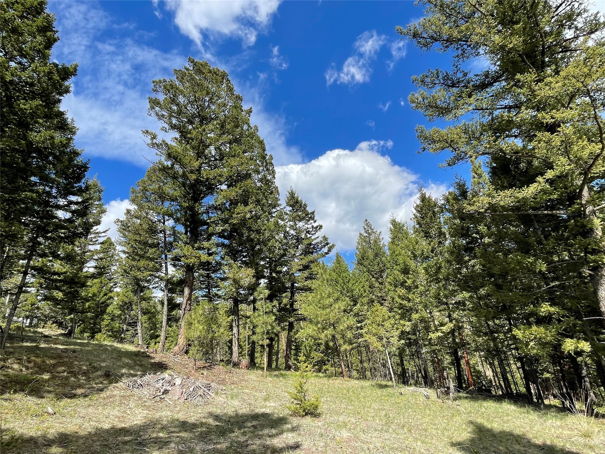 Tract 2b Grizzly Gulch Drive Property Photo 15