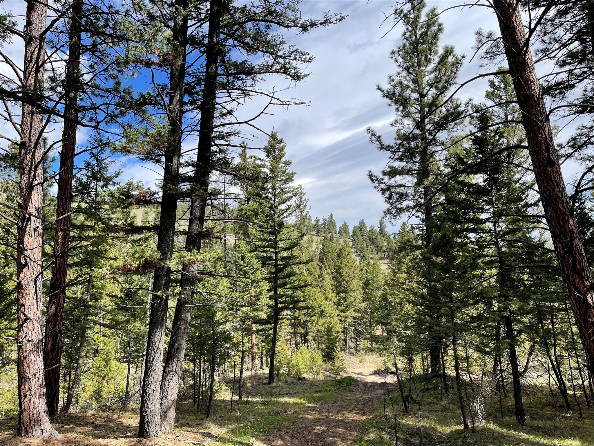 Tract 2b Grizzly Gulch Drive Property Photo 16